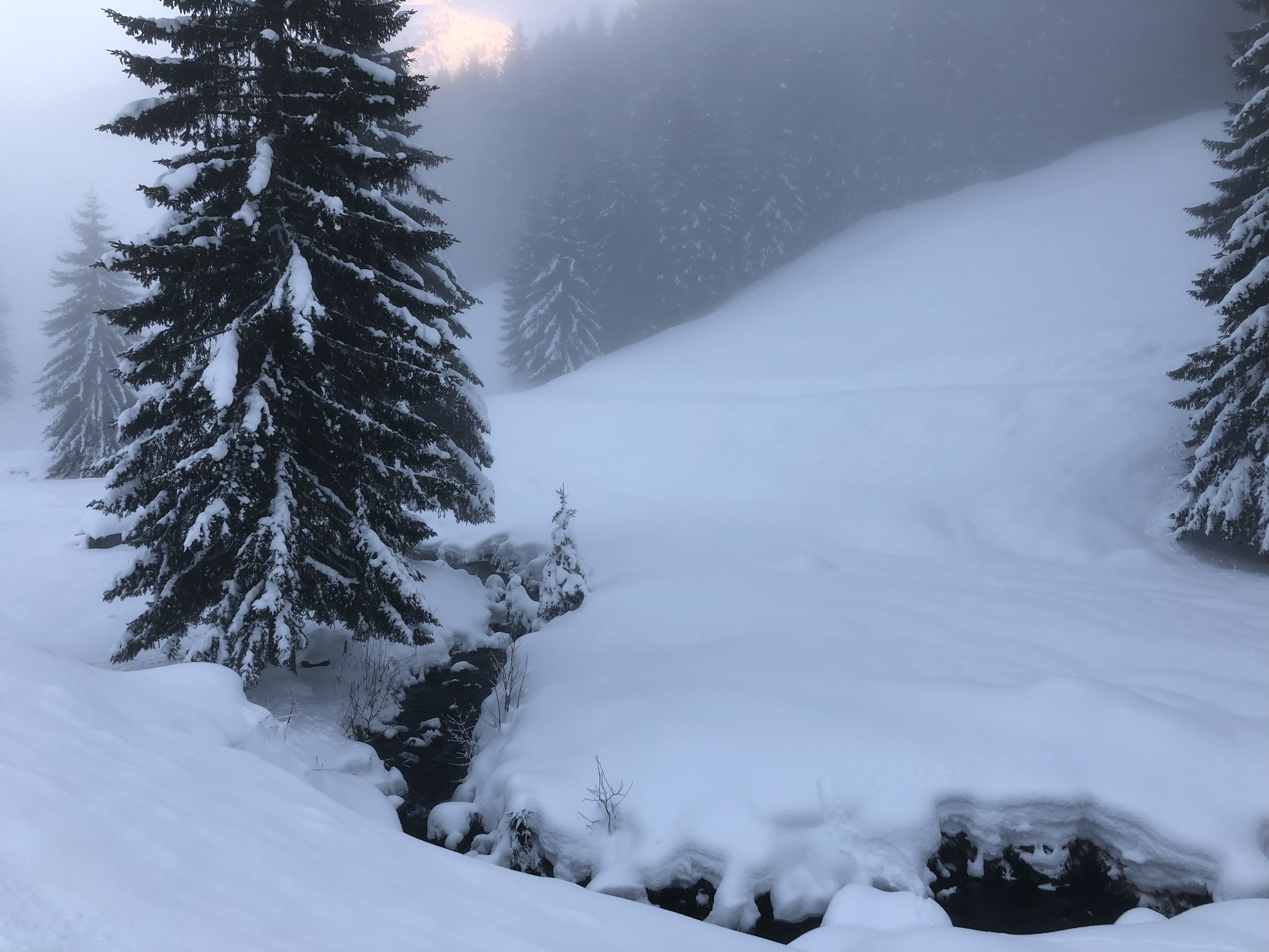 Picture France La Clusaz 2017-12 313 - History La Clusaz