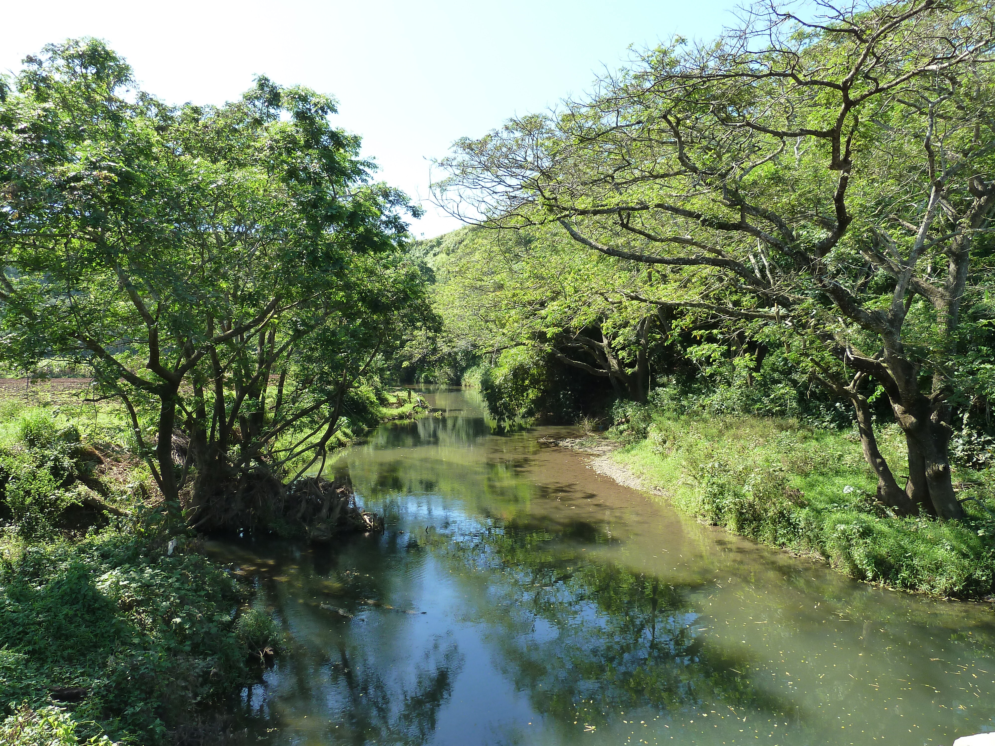 Picture Fiji Sigatoka river 2010-05 65 - History Sigatoka river