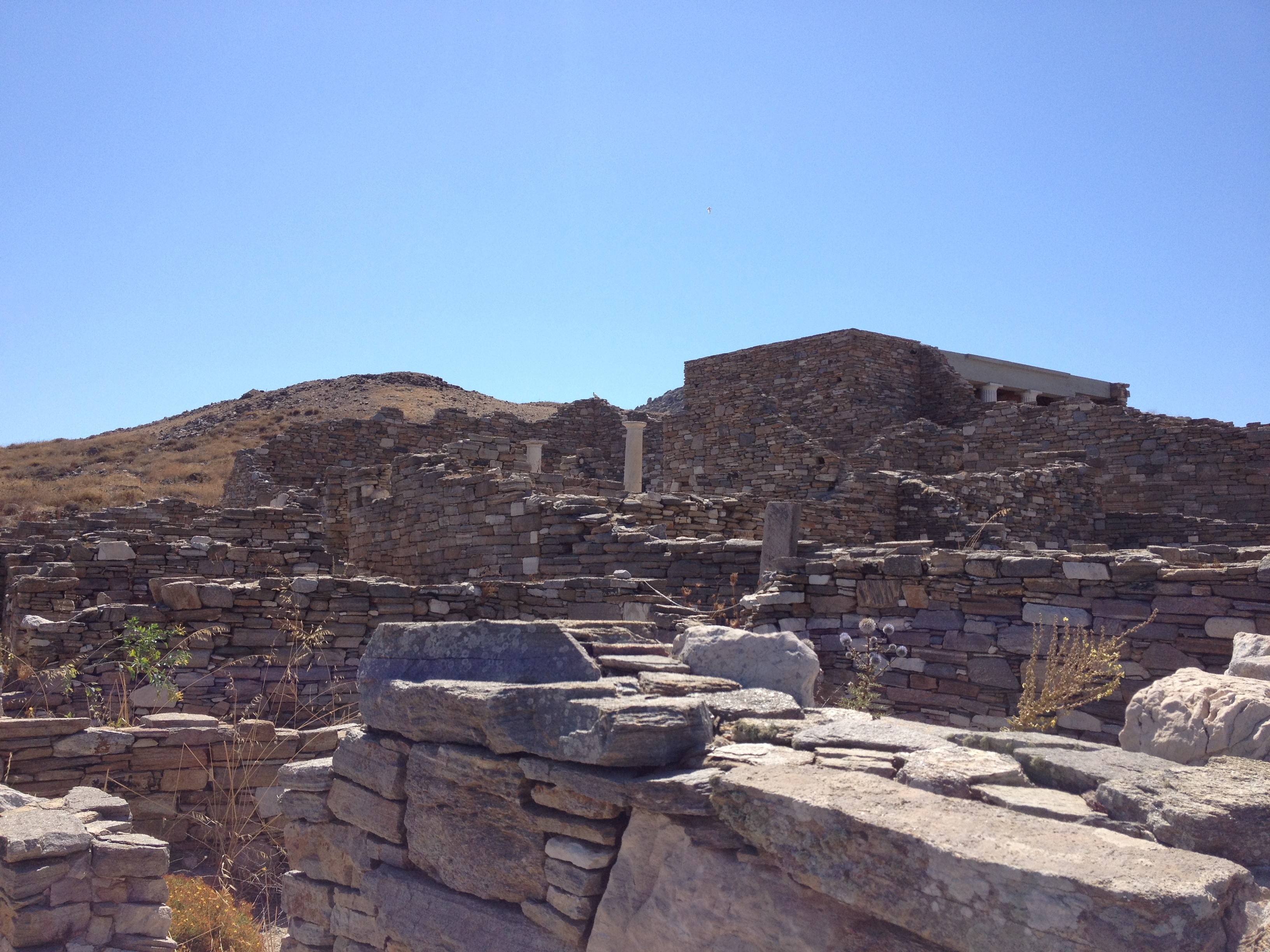 Picture Greece Delos 2014-07 36 - Recreation Delos