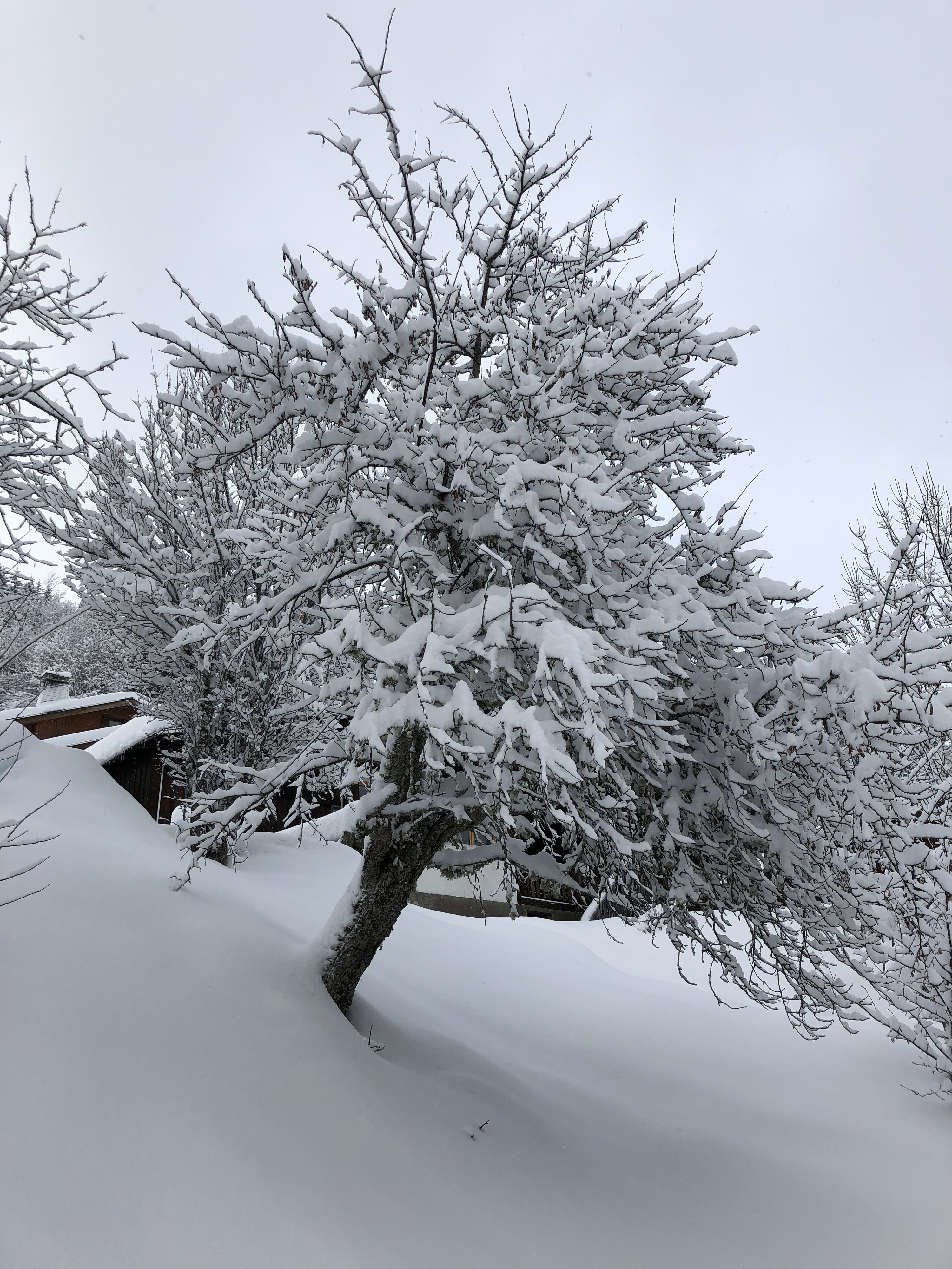 Picture France La Clusaz 2017-12 281 - Journey La Clusaz