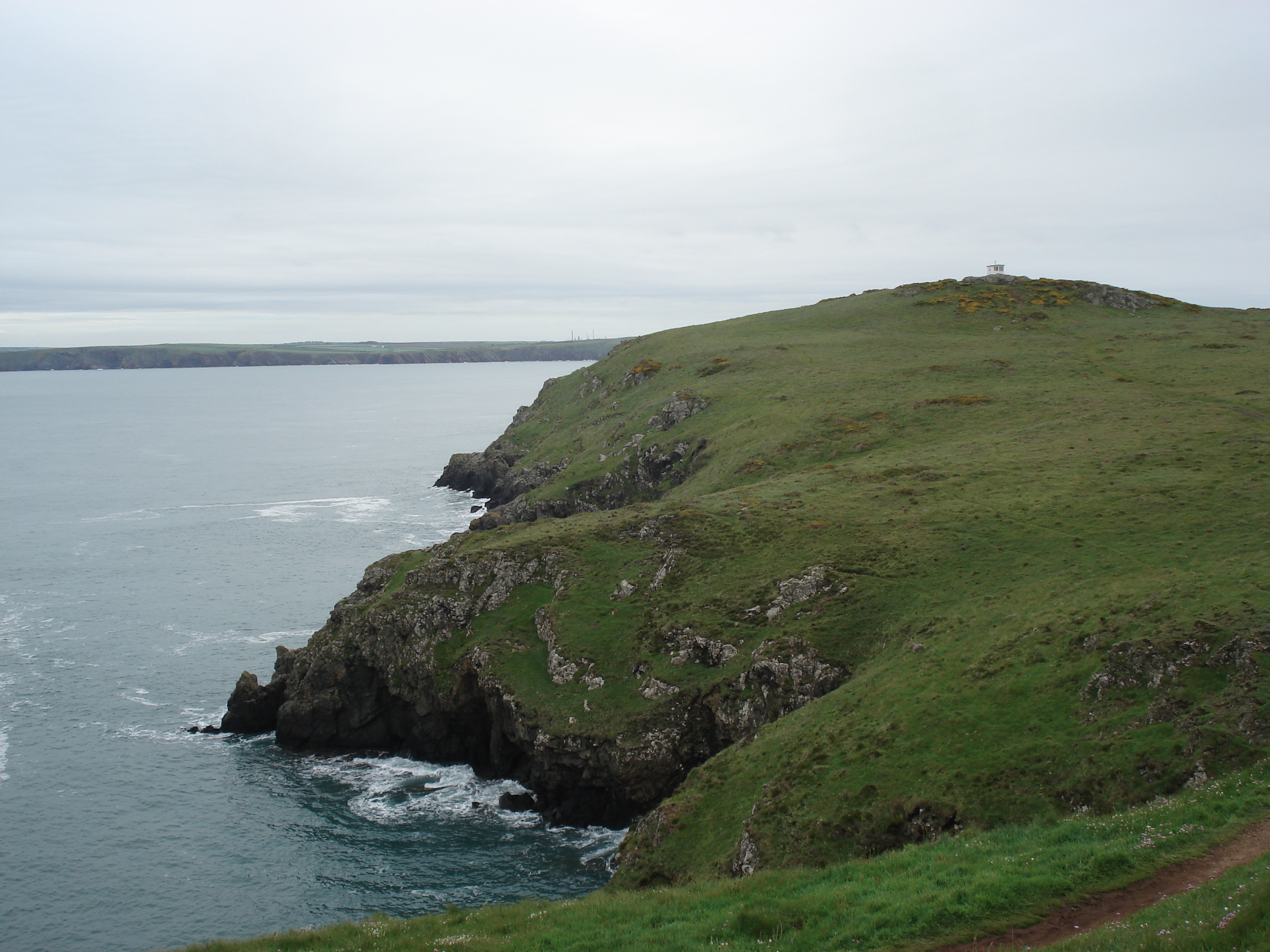 Picture United Kingdom Pembrokeshire Martins Havens 2006-05 22 - Tours Martins Havens