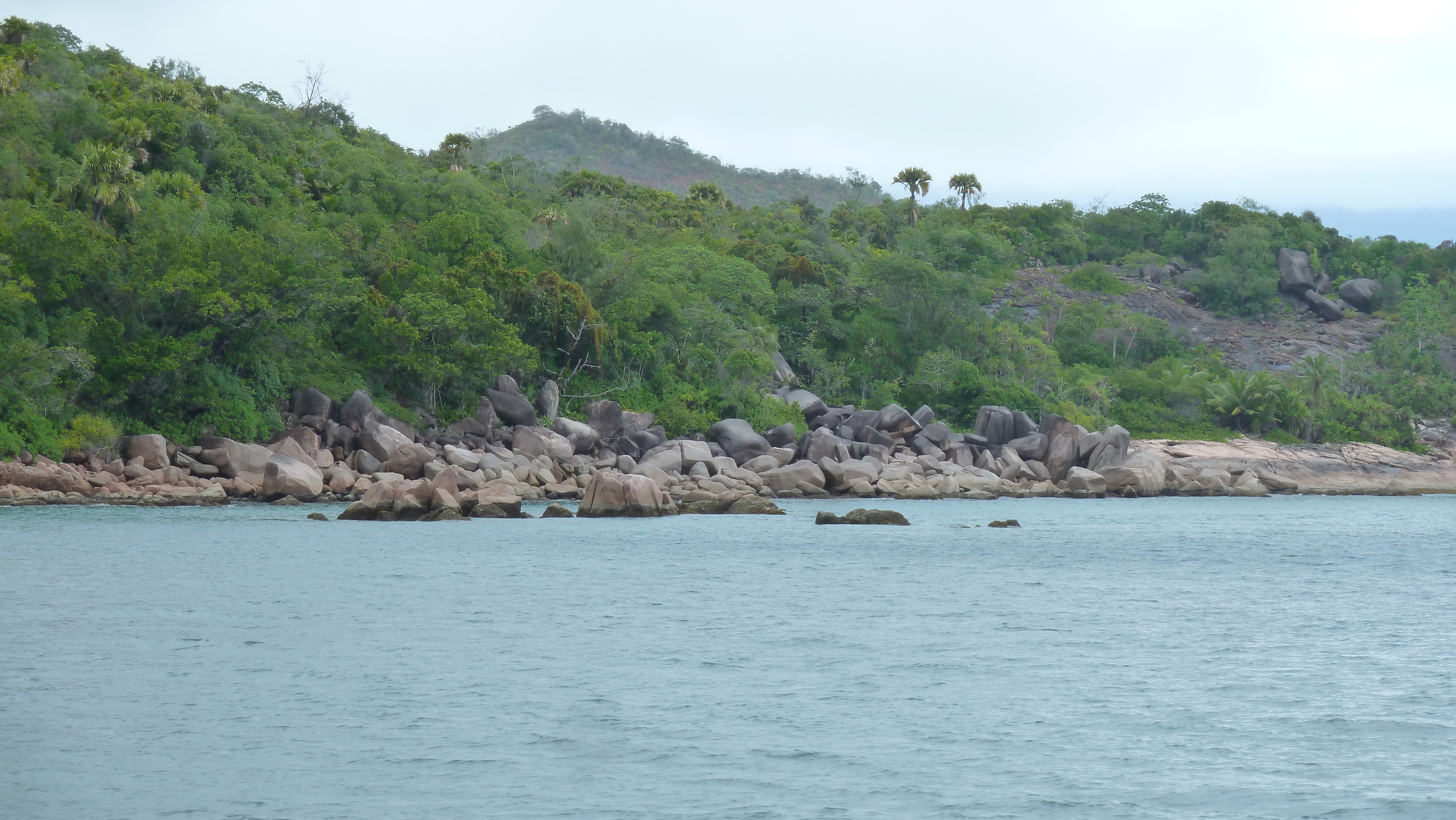 Picture Seychelles Anse Possession 2011-10 87 - Around Anse Possession