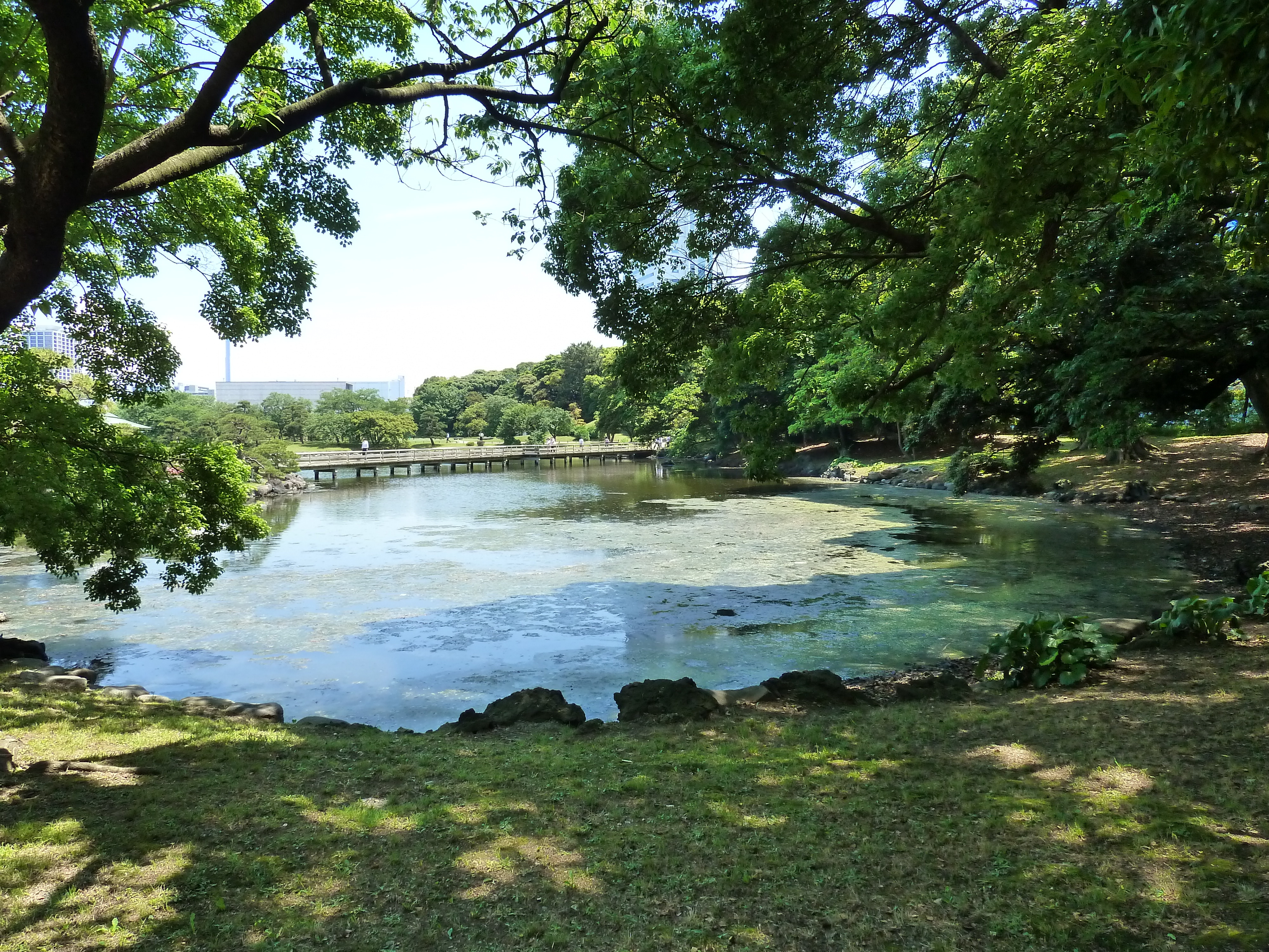 Picture Japan Tokyo Hama rikyu Gardens 2010-06 99 - Recreation Hama rikyu Gardens