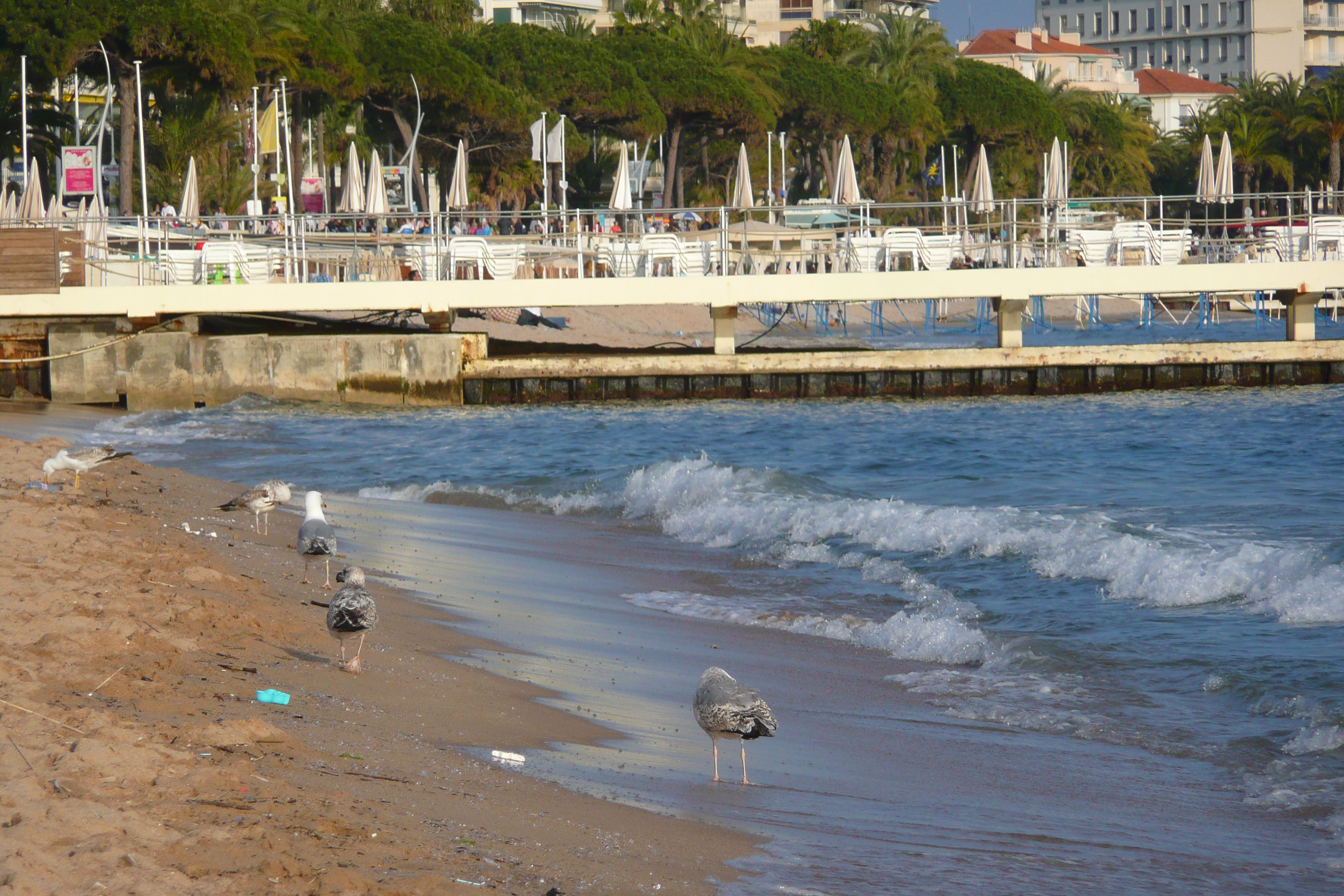 Picture France Cannes Beach 2008-04 32 - Tours Beach