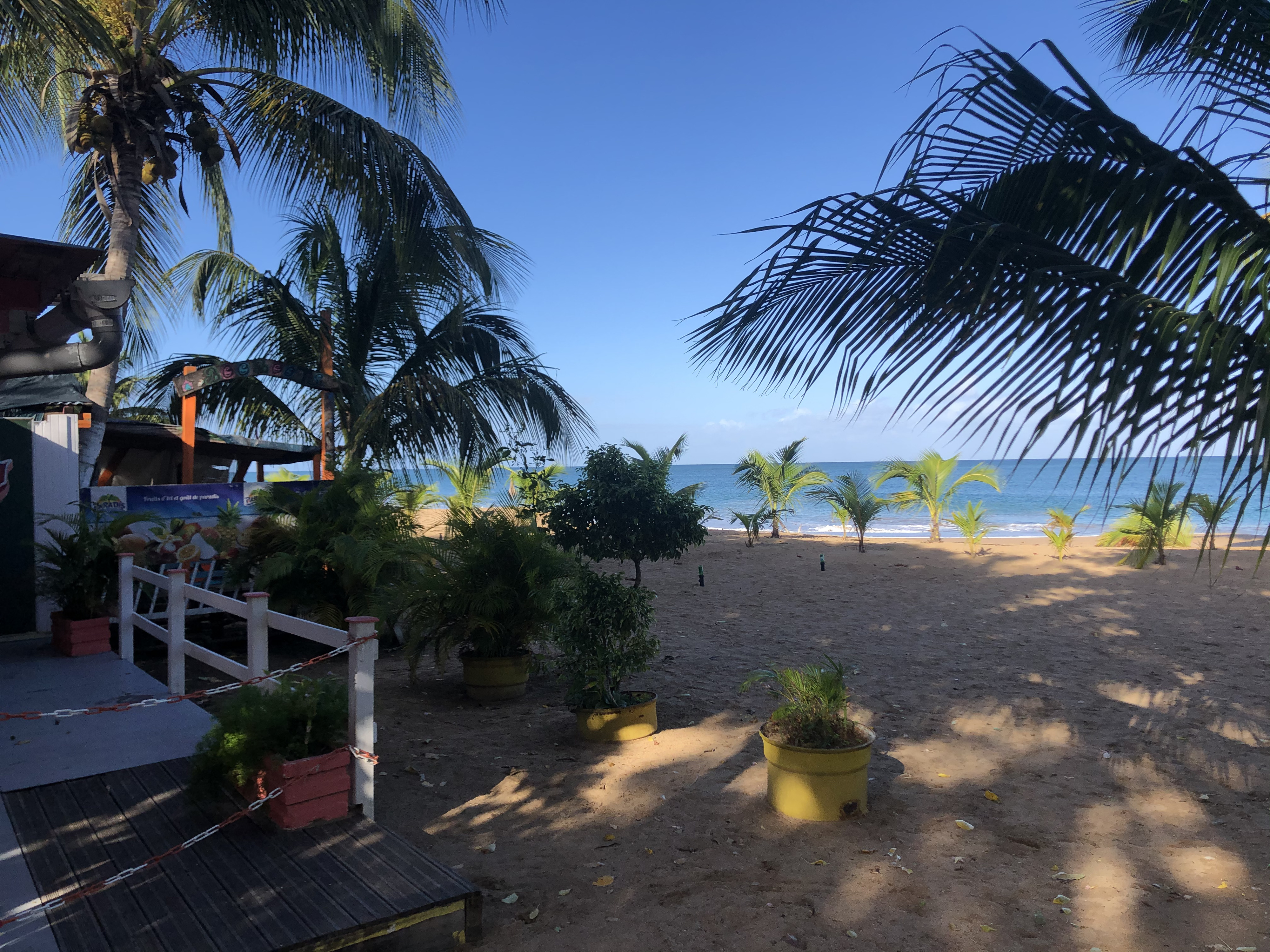 Picture Guadeloupe La Perle Beach 2021-02 75 - Tour La Perle Beach