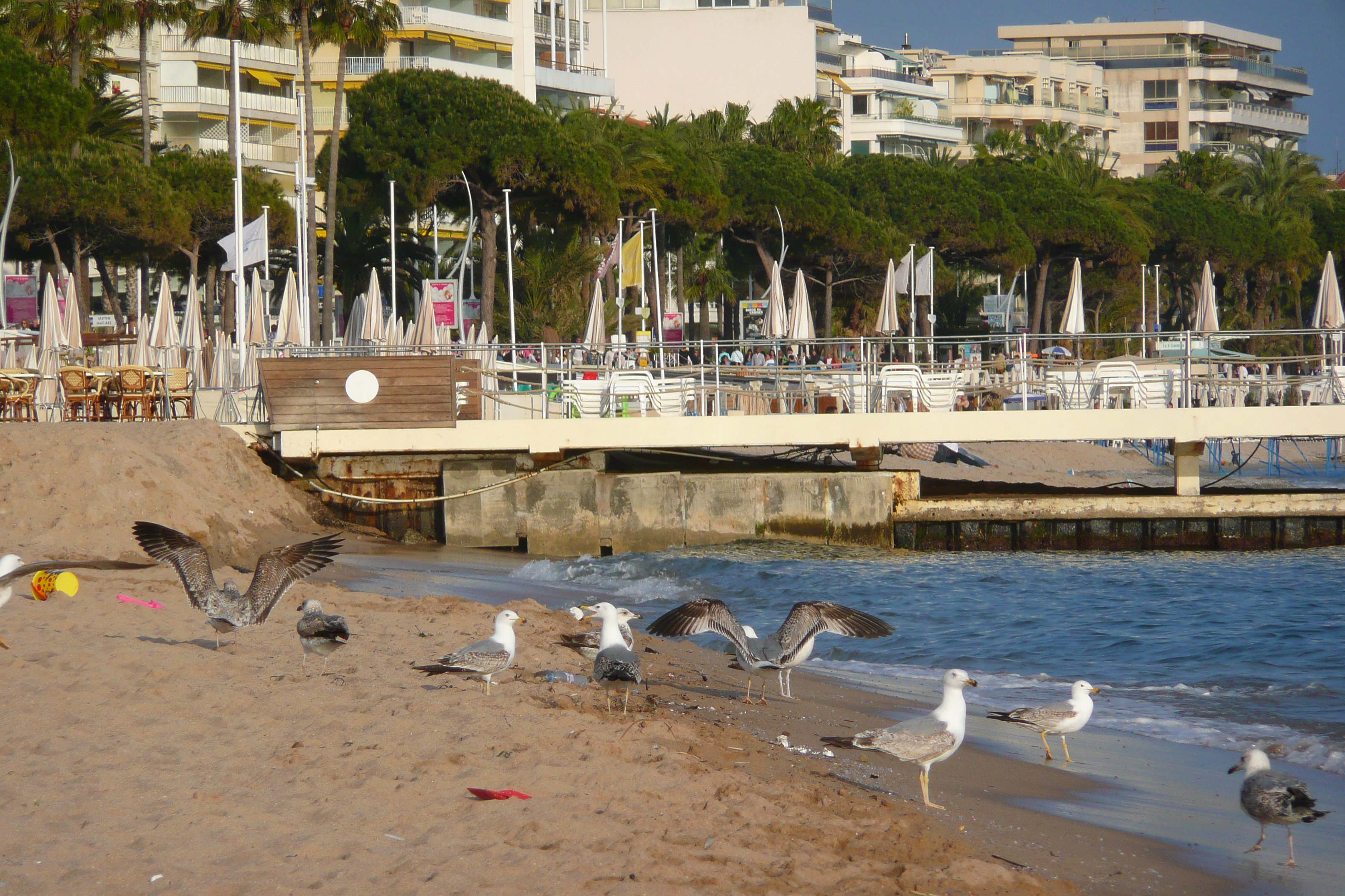 Picture France Cannes Beach 2008-04 47 - Center Beach