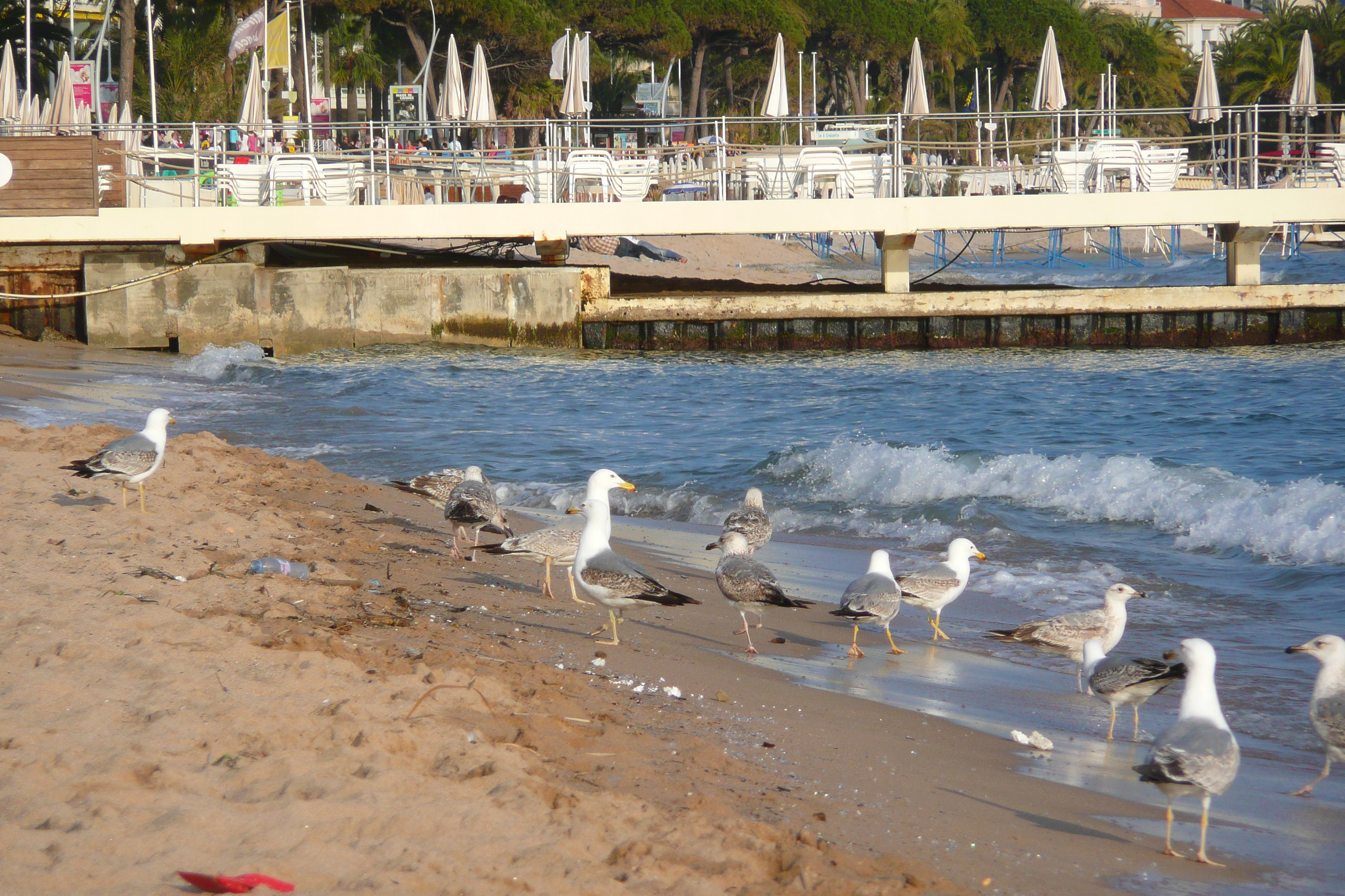 Picture France Cannes Beach 2008-04 53 - Recreation Beach