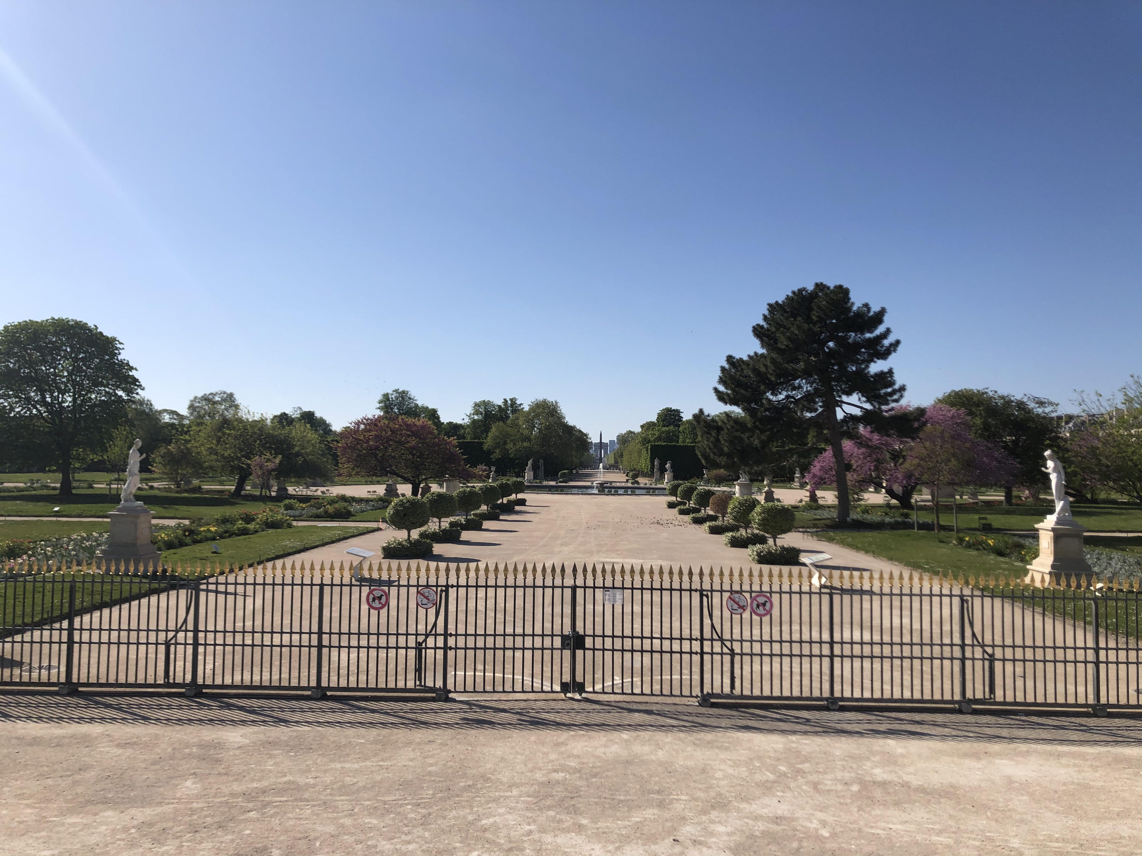 Picture France Paris lockdown 2020-04 107 - Center Paris lockdown