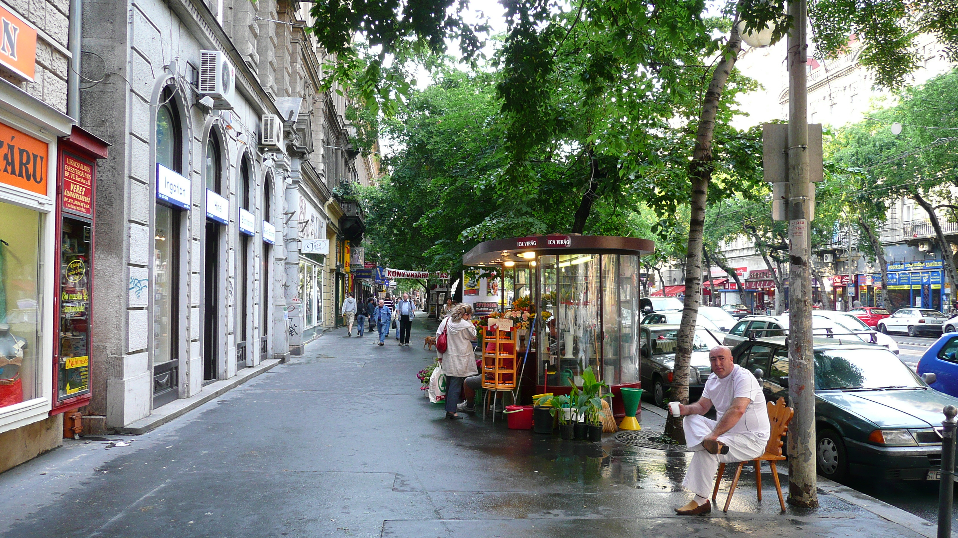 Picture Hungary Budapest Central Budapest 2007-06 77 - Tours Central Budapest