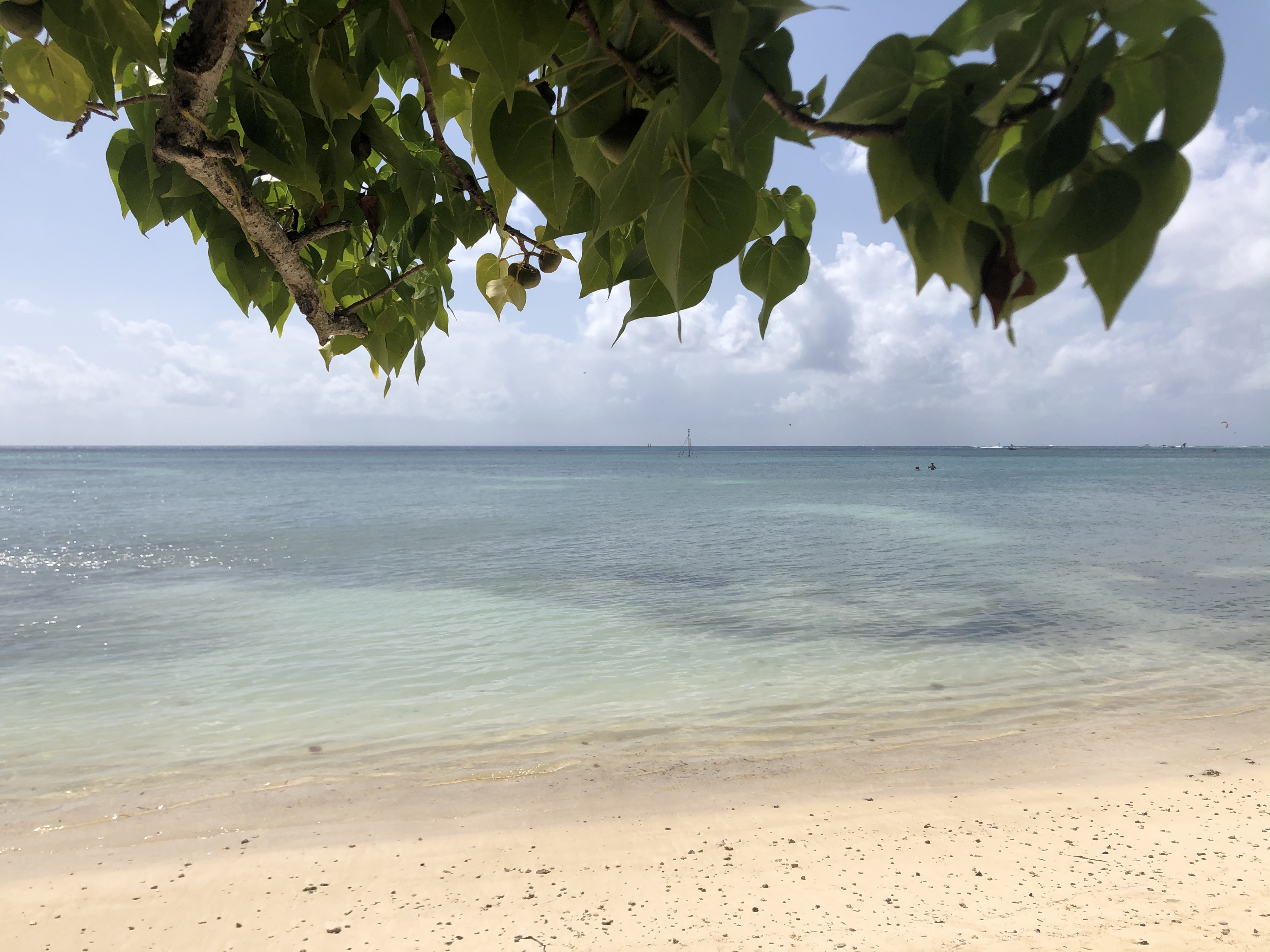 Picture Guadeloupe Saint Francois 2021-02 40 - Tours Saint Francois