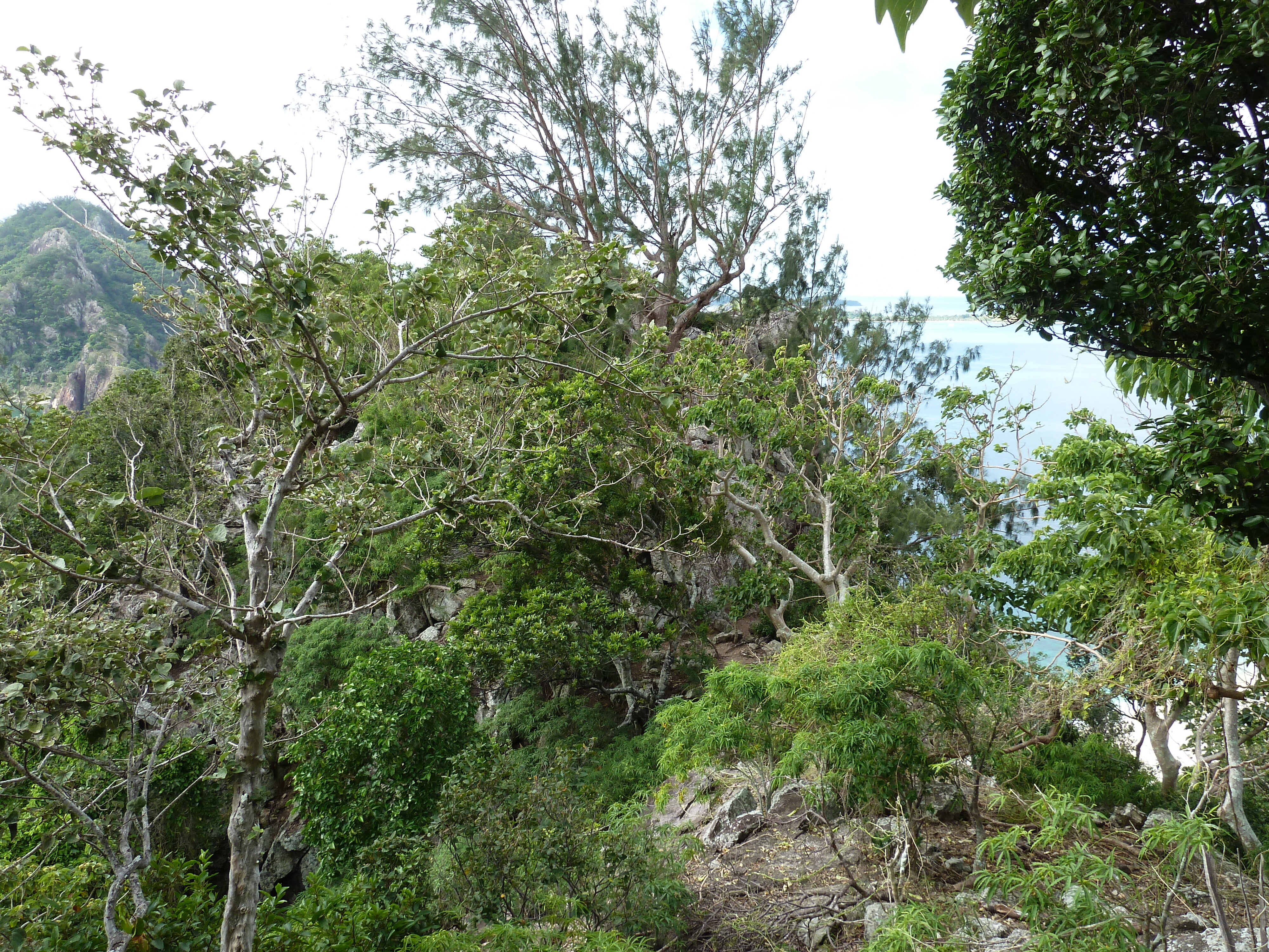 Picture Fiji Castaway Island 2010-05 49 - Around Castaway Island