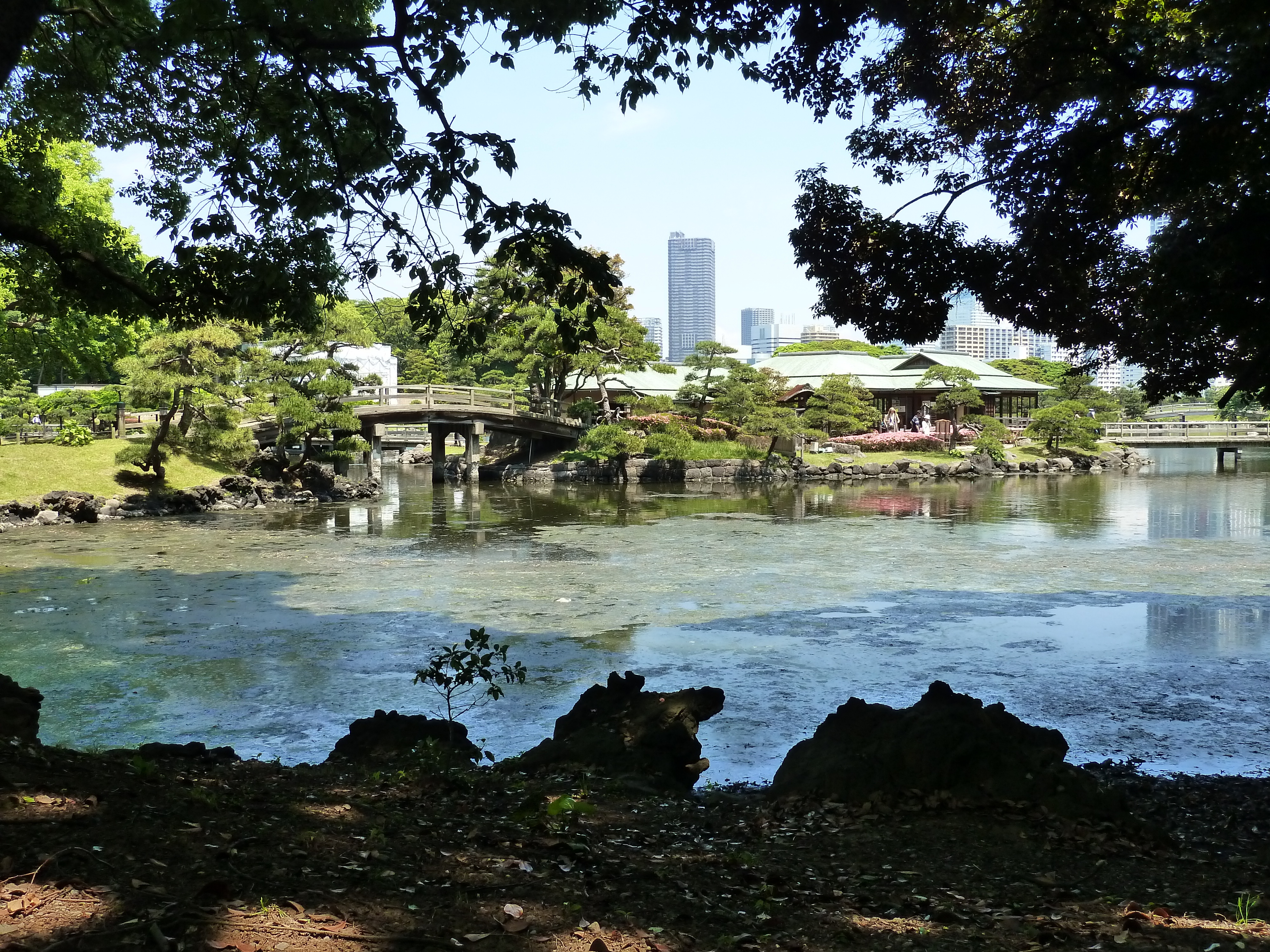 Picture Japan Tokyo Hama rikyu Gardens 2010-06 91 - Tour Hama rikyu Gardens