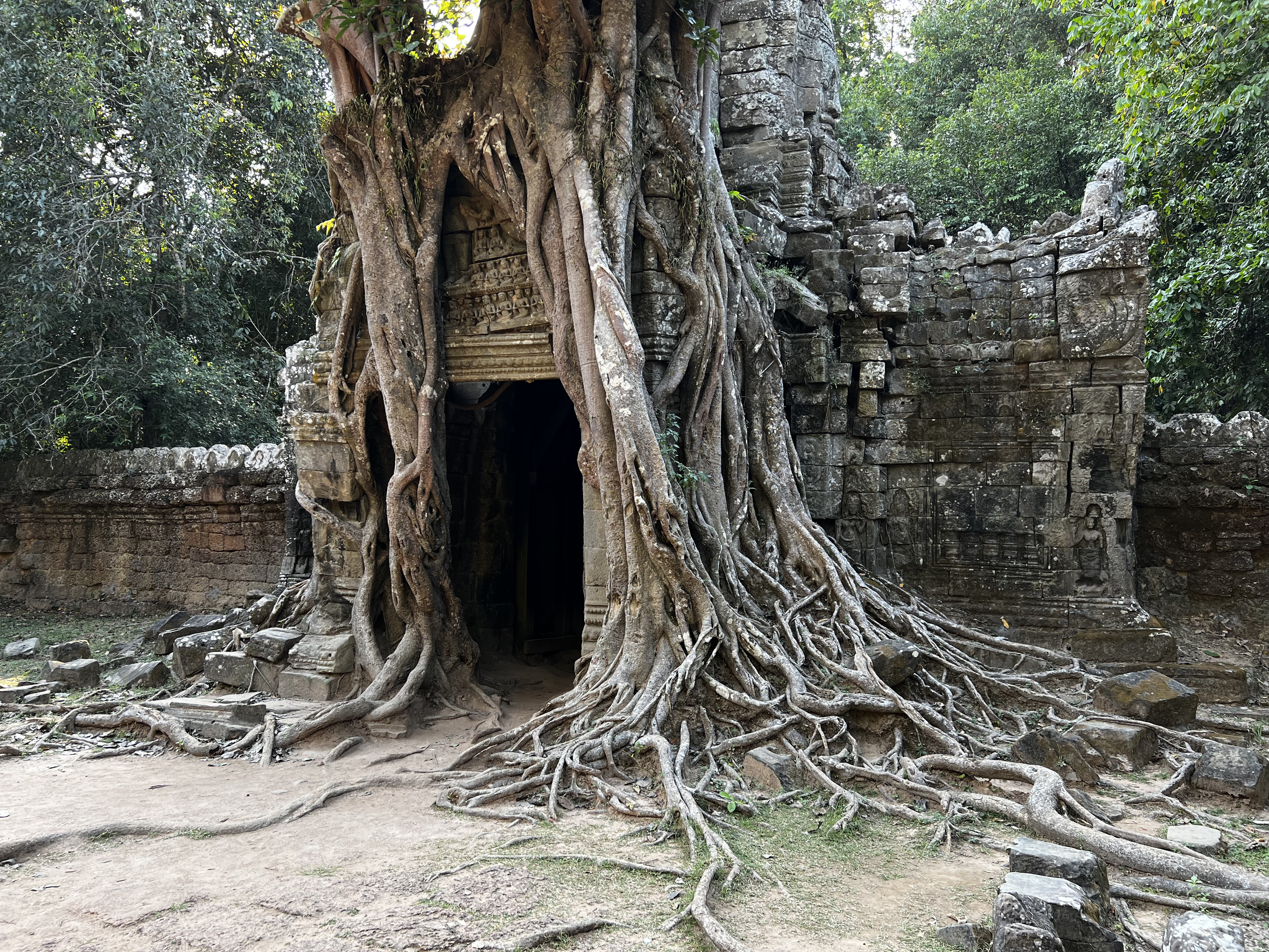 Picture Cambodia Siem Reap Ta Som 2023-01 29 - Around Ta Som