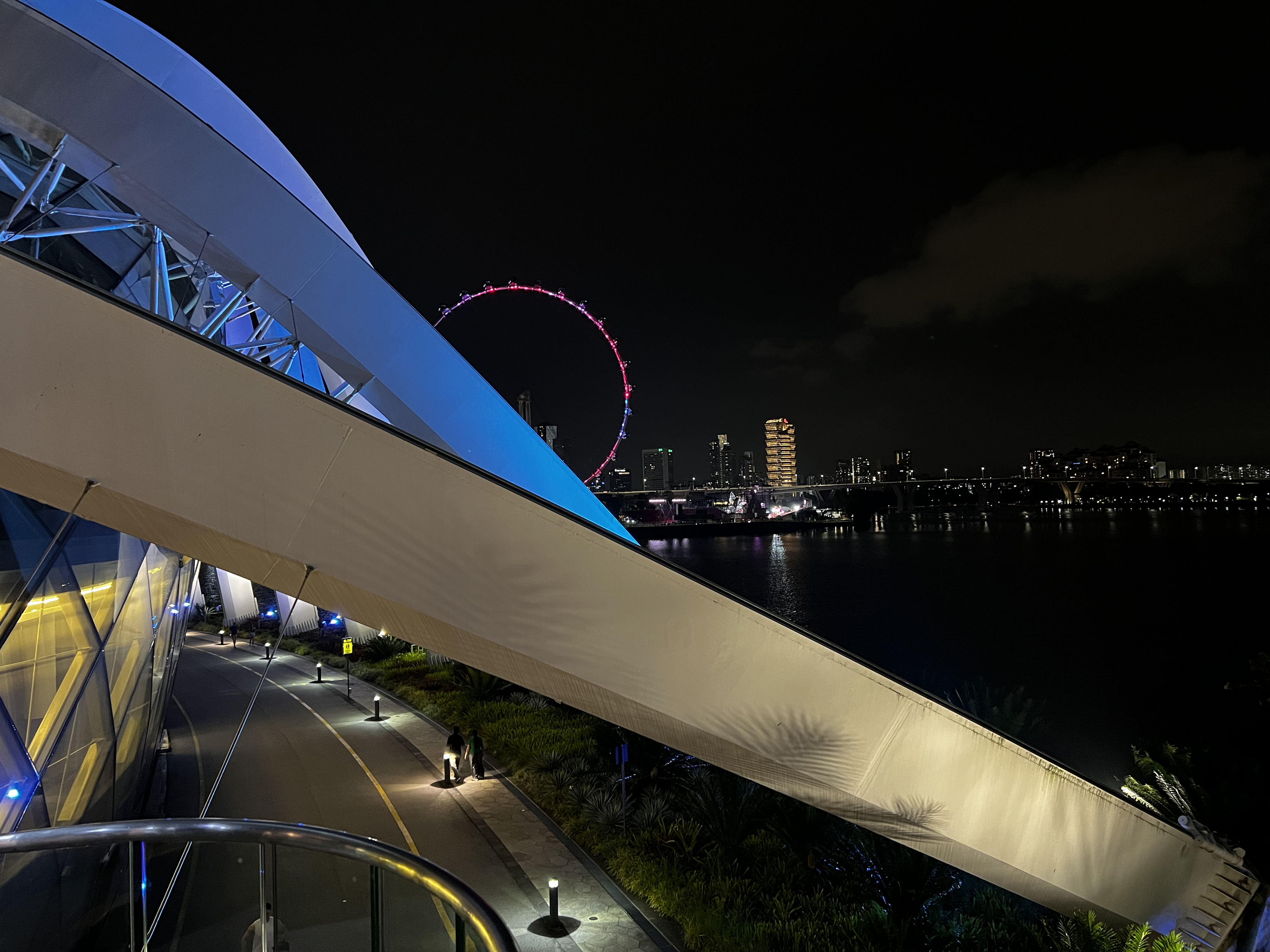 Picture Singapore Garden by the bay 2023-01 45 - Discovery Garden by the bay