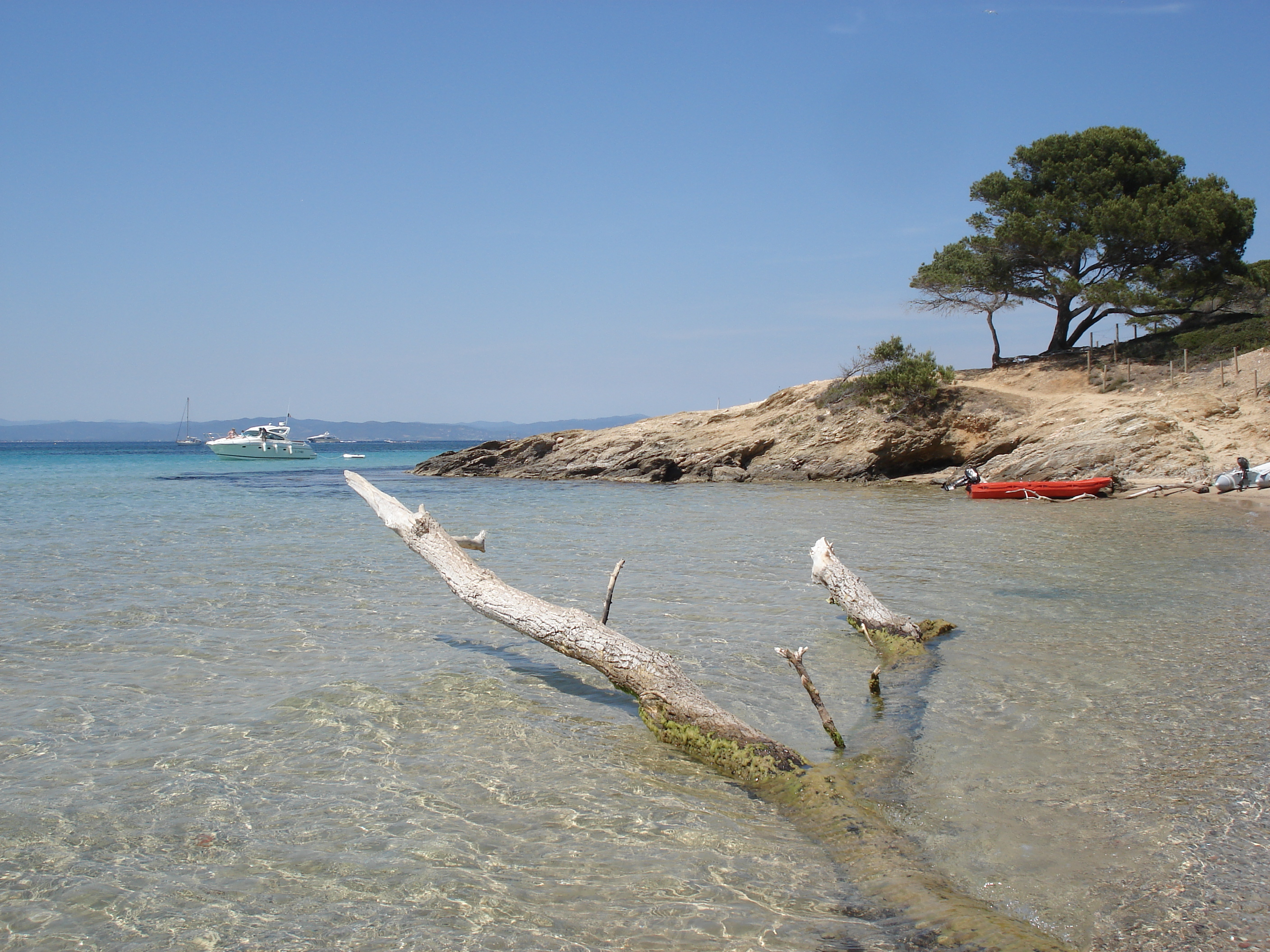 Picture France Porquerolles Island 2006-06 69 - Center Porquerolles Island