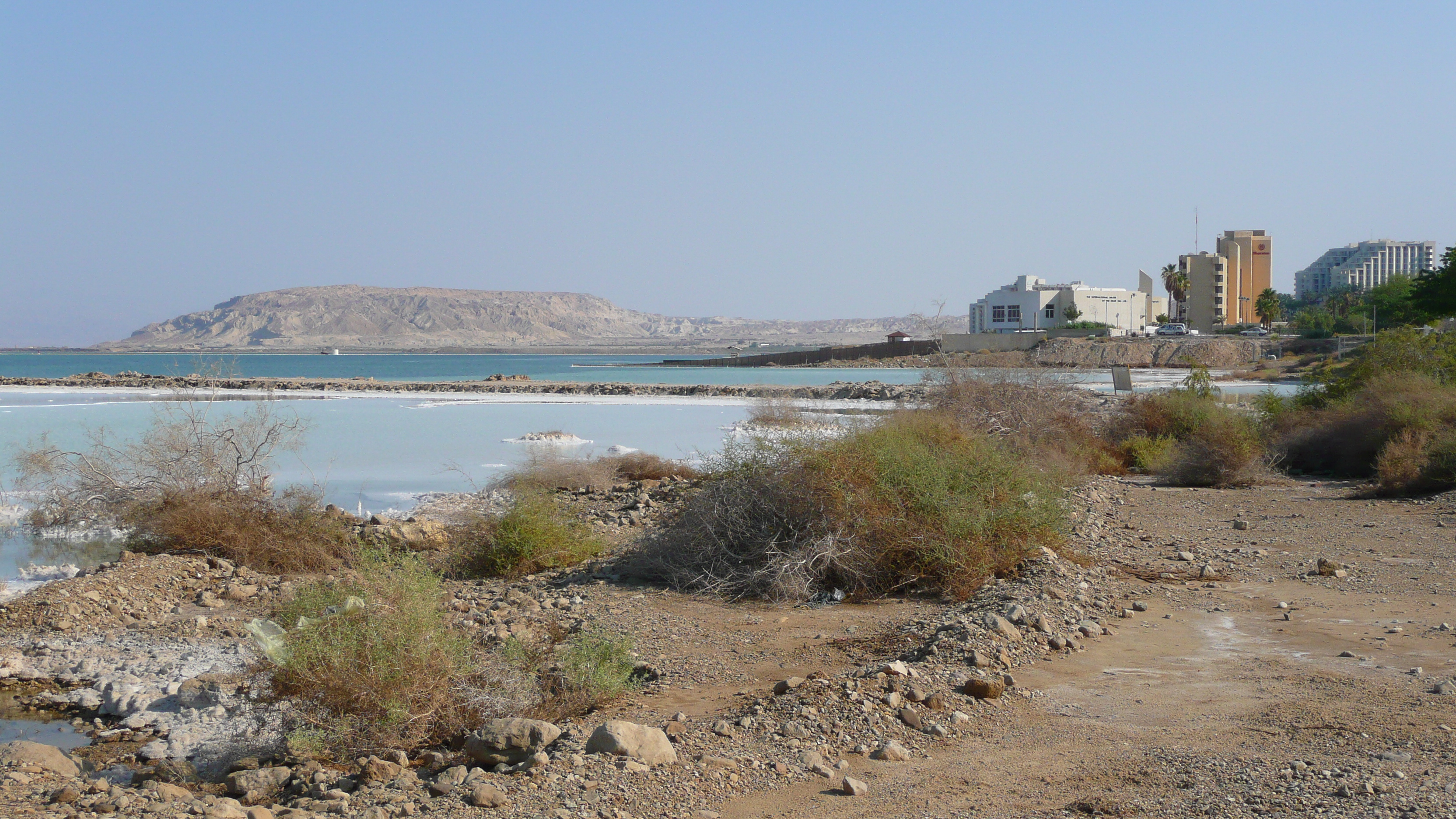 Picture Israel Boqeq 2007-06 155 - Discovery Boqeq