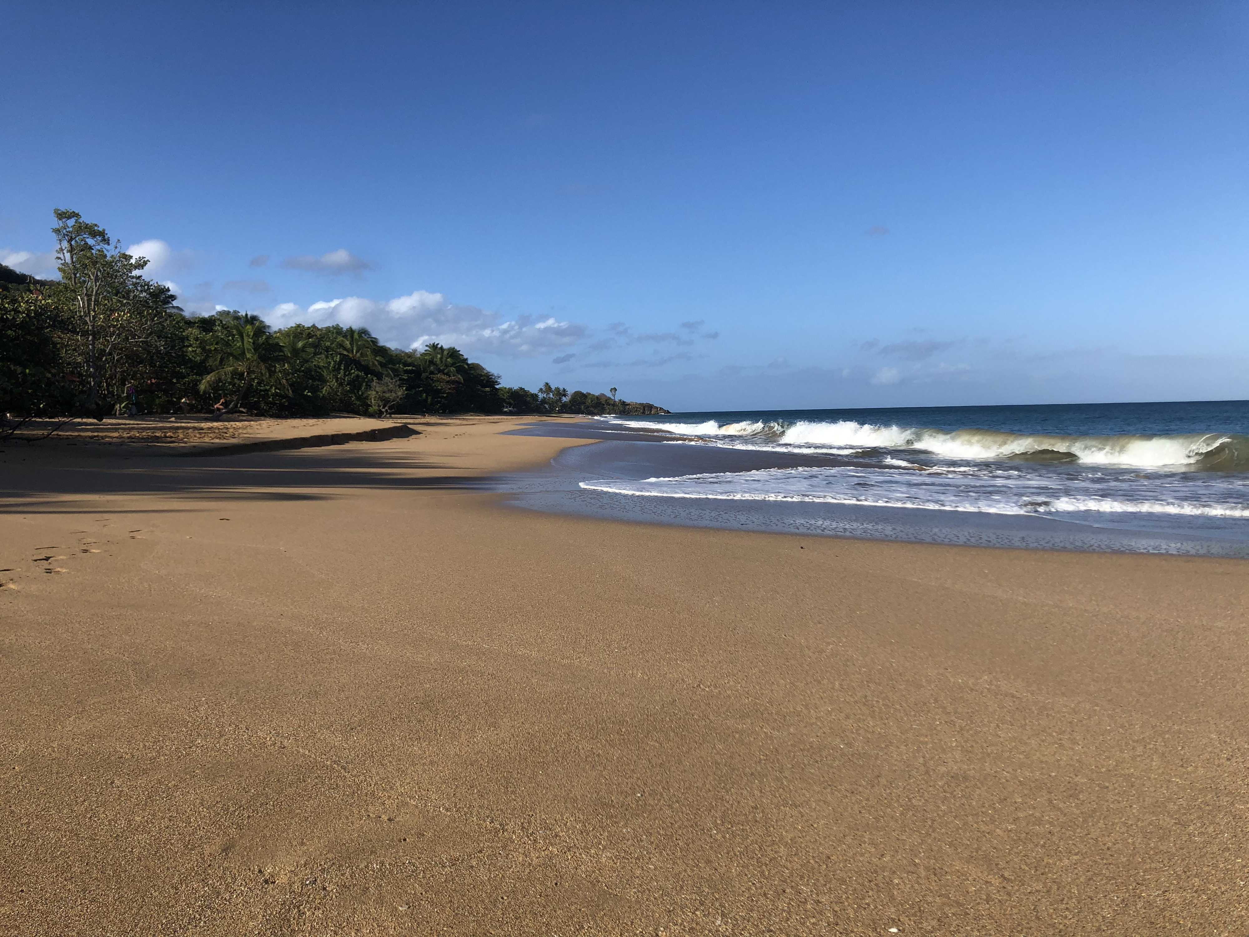 Picture Guadeloupe La Perle Beach 2021-02 18 - Recreation La Perle Beach