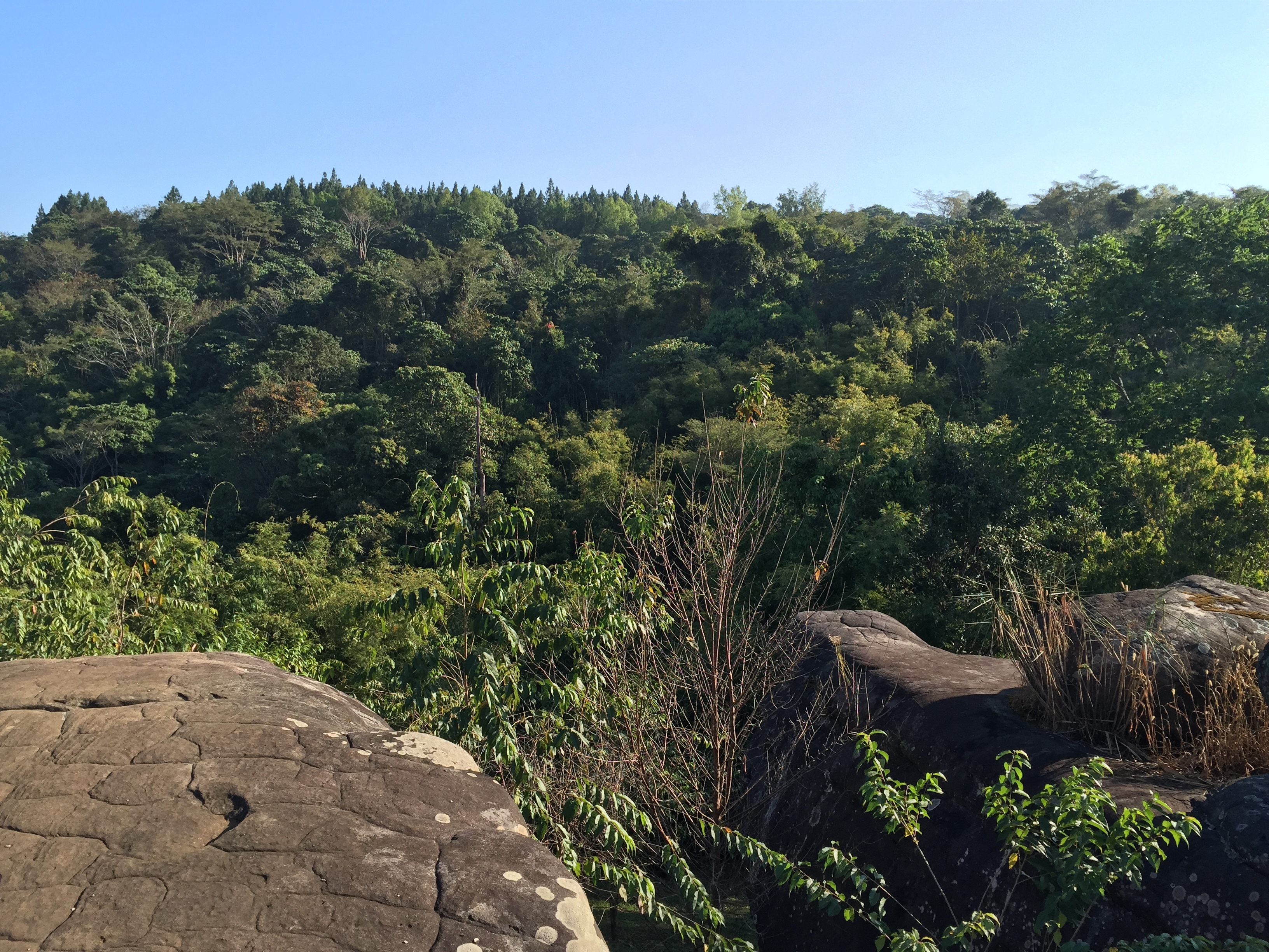 Picture Thailand Phu Hin Rong Kla National Park 2014-12 193 - Tour Phu Hin Rong Kla National Park