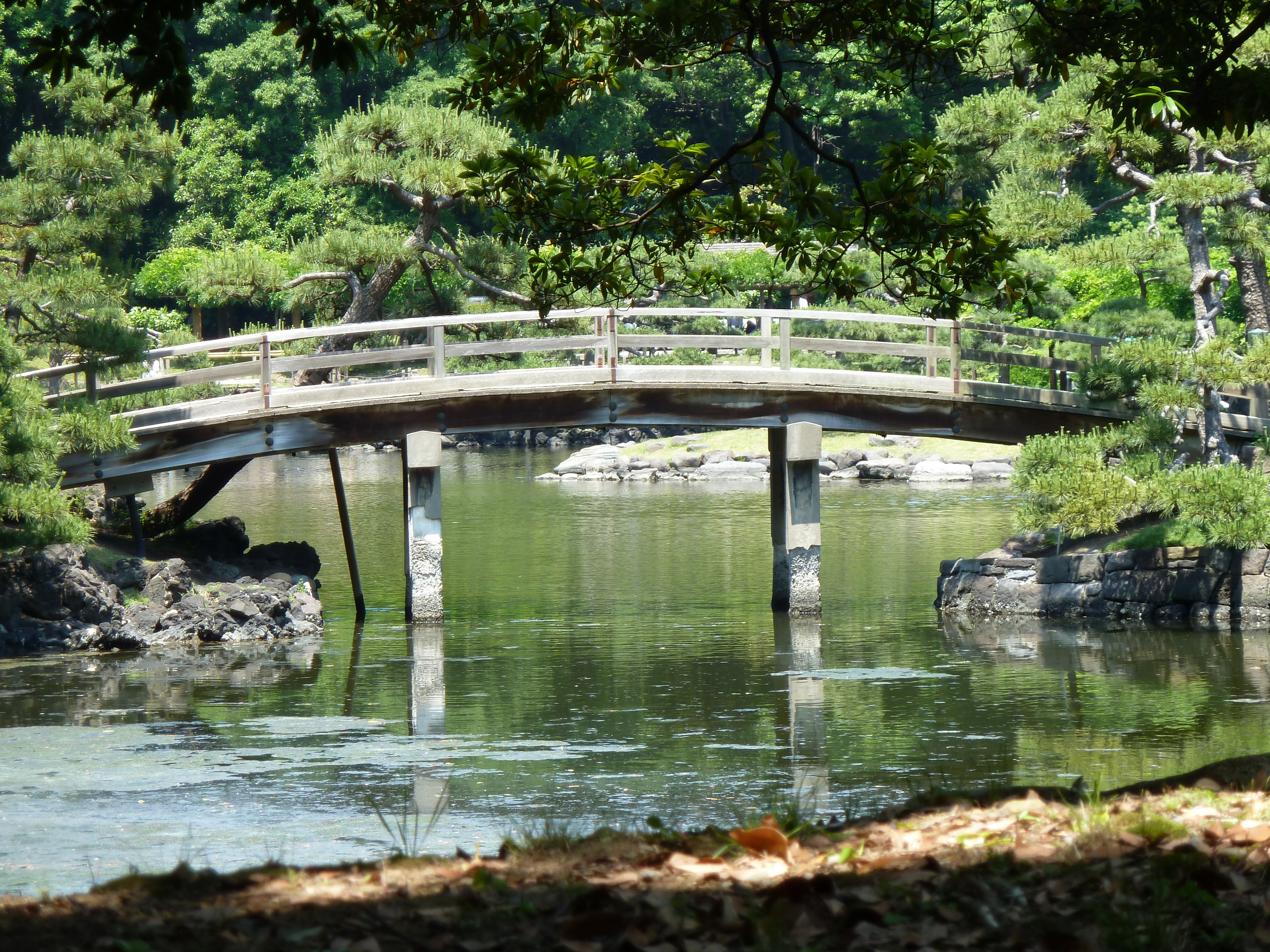 Picture Japan Tokyo Hama rikyu Gardens 2010-06 111 - Tours Hama rikyu Gardens