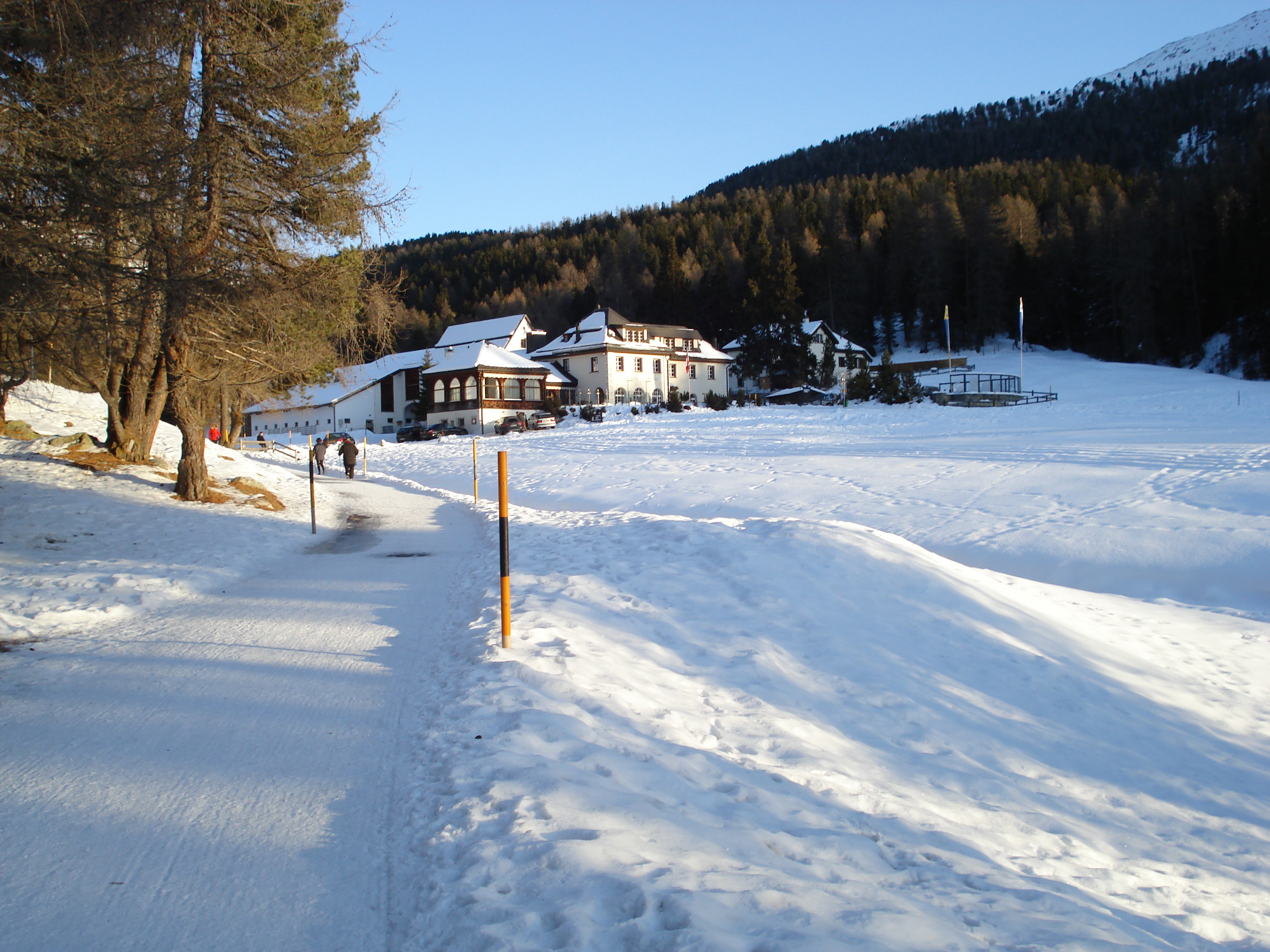 Picture Swiss St Moritz Schlarigna 2007-01 35 - Discovery St Moritz Schlarigna