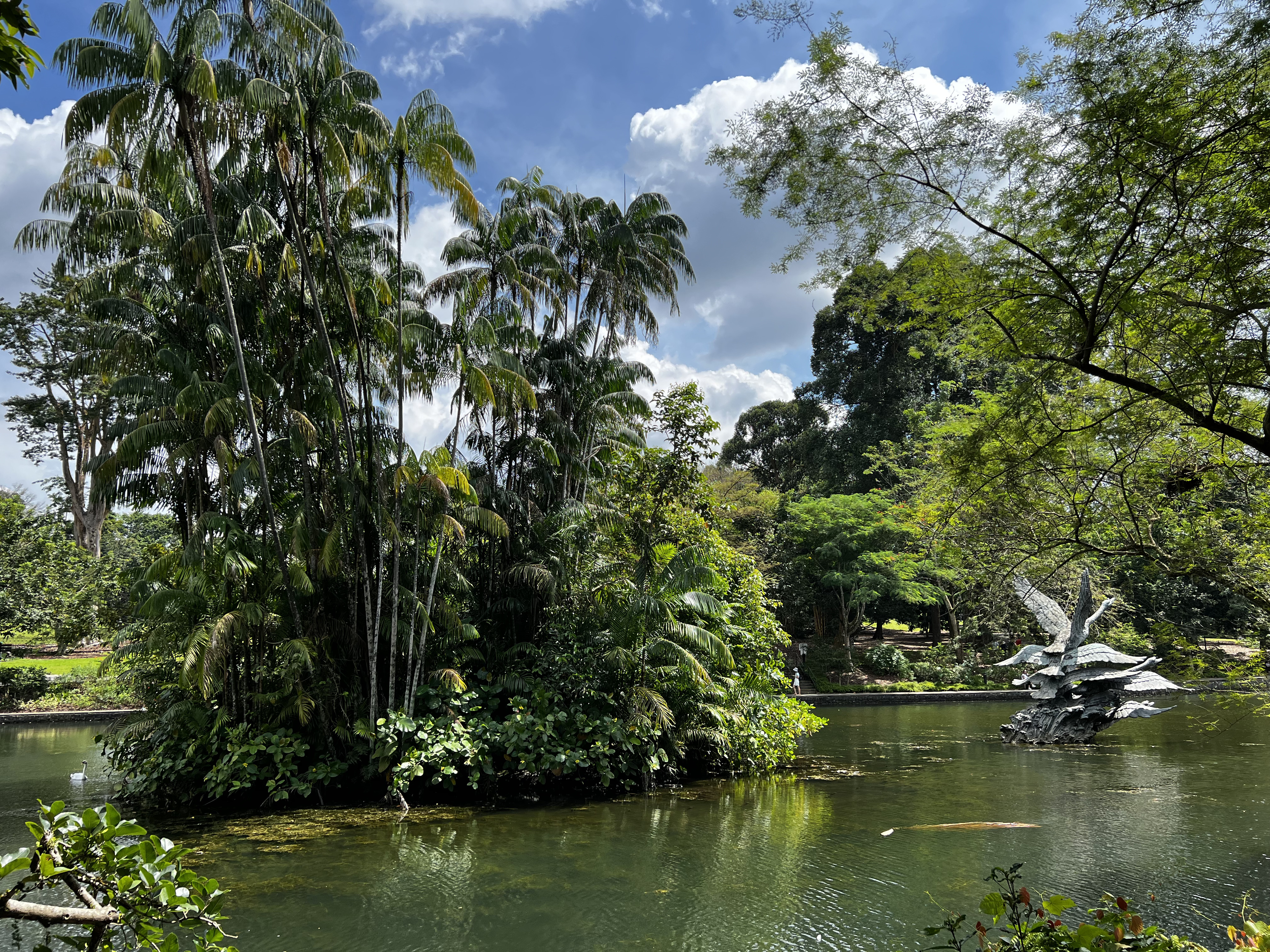 Picture Singapore Singapore Botanic Gardens 2023-01 115 - Tours Singapore Botanic Gardens