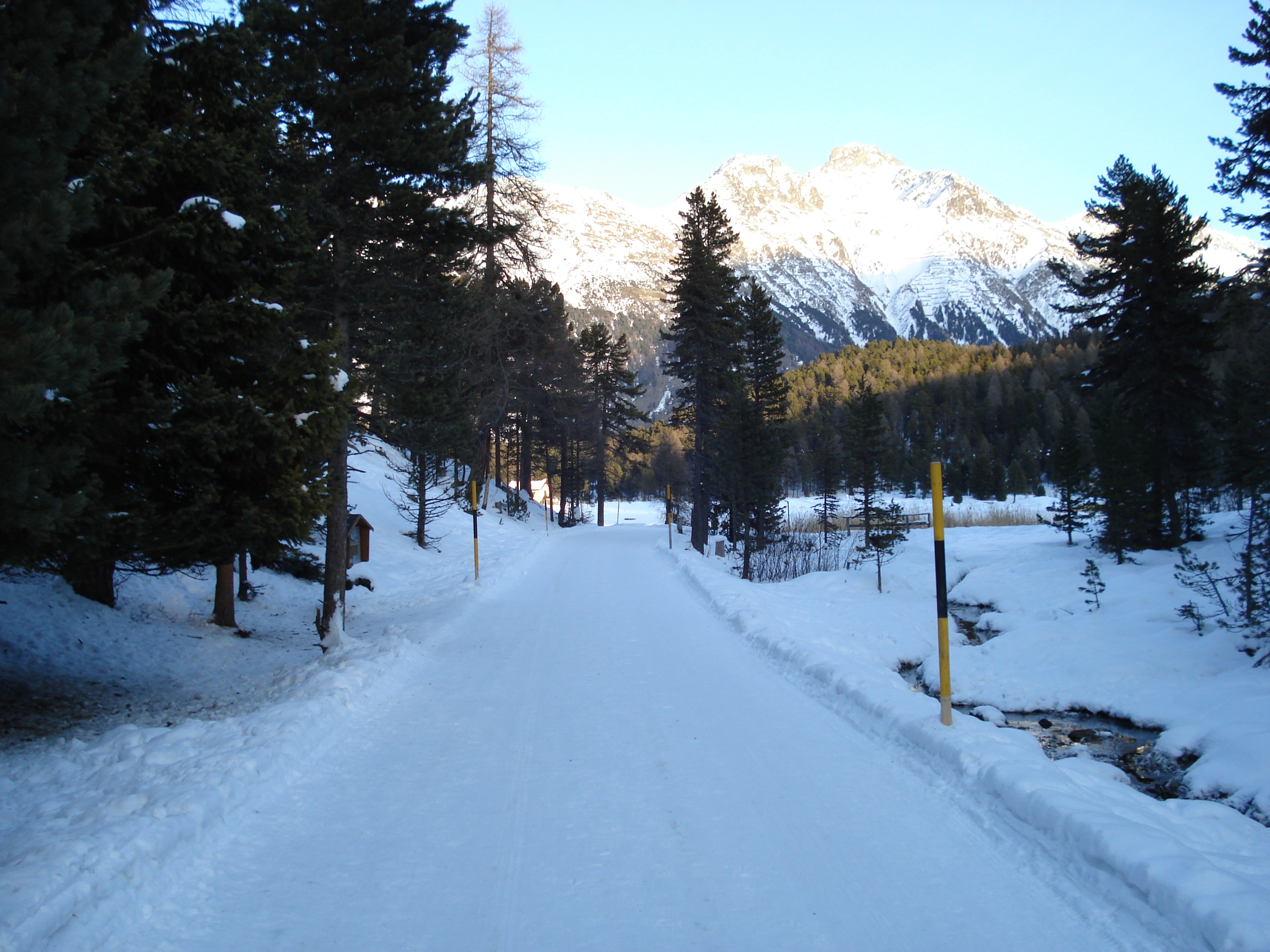 Picture Swiss St Moritz Schlarigna 2007-01 69 - Around St Moritz Schlarigna