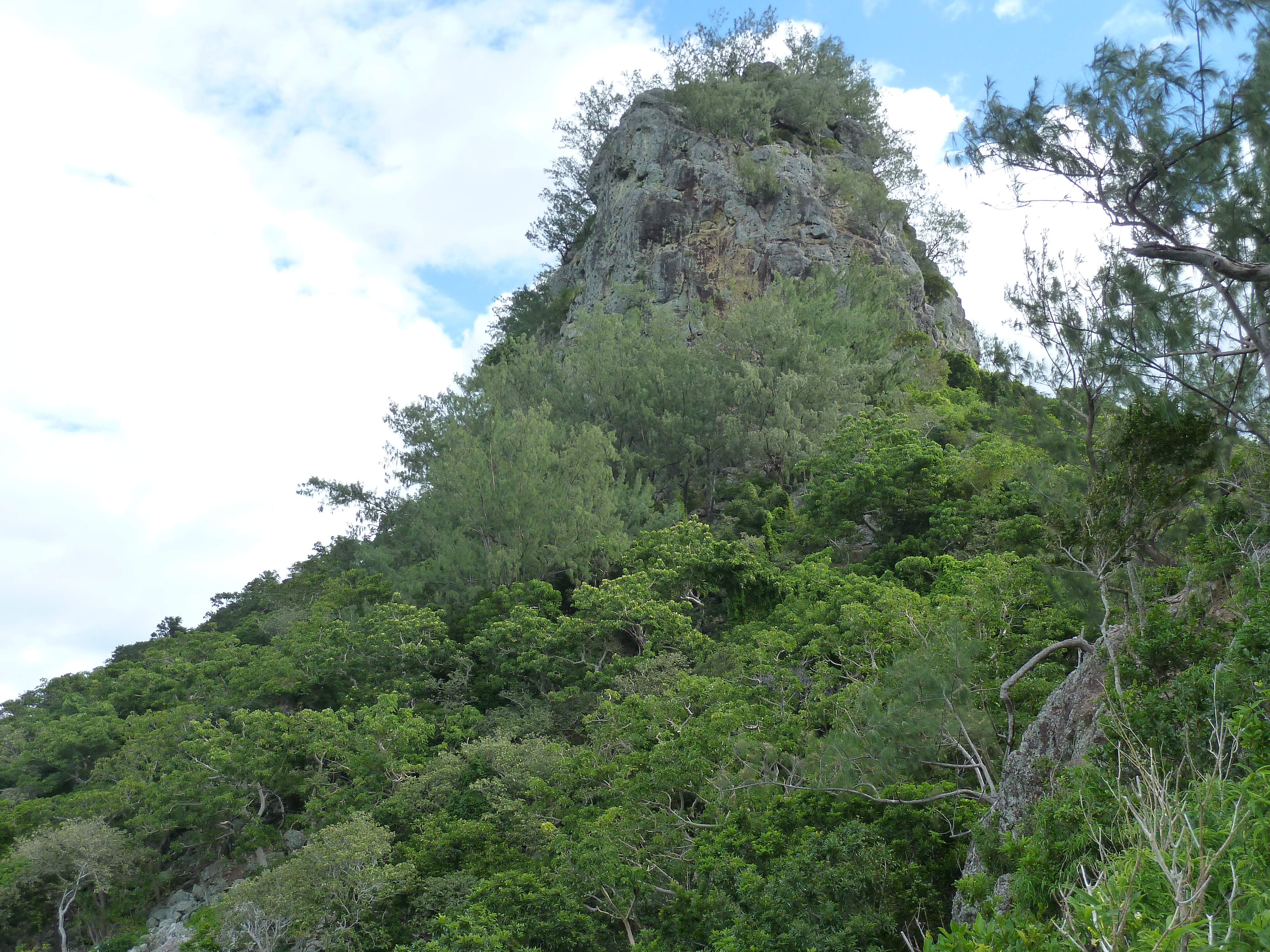 Picture Fiji Castaway Island 2010-05 36 - Center Castaway Island