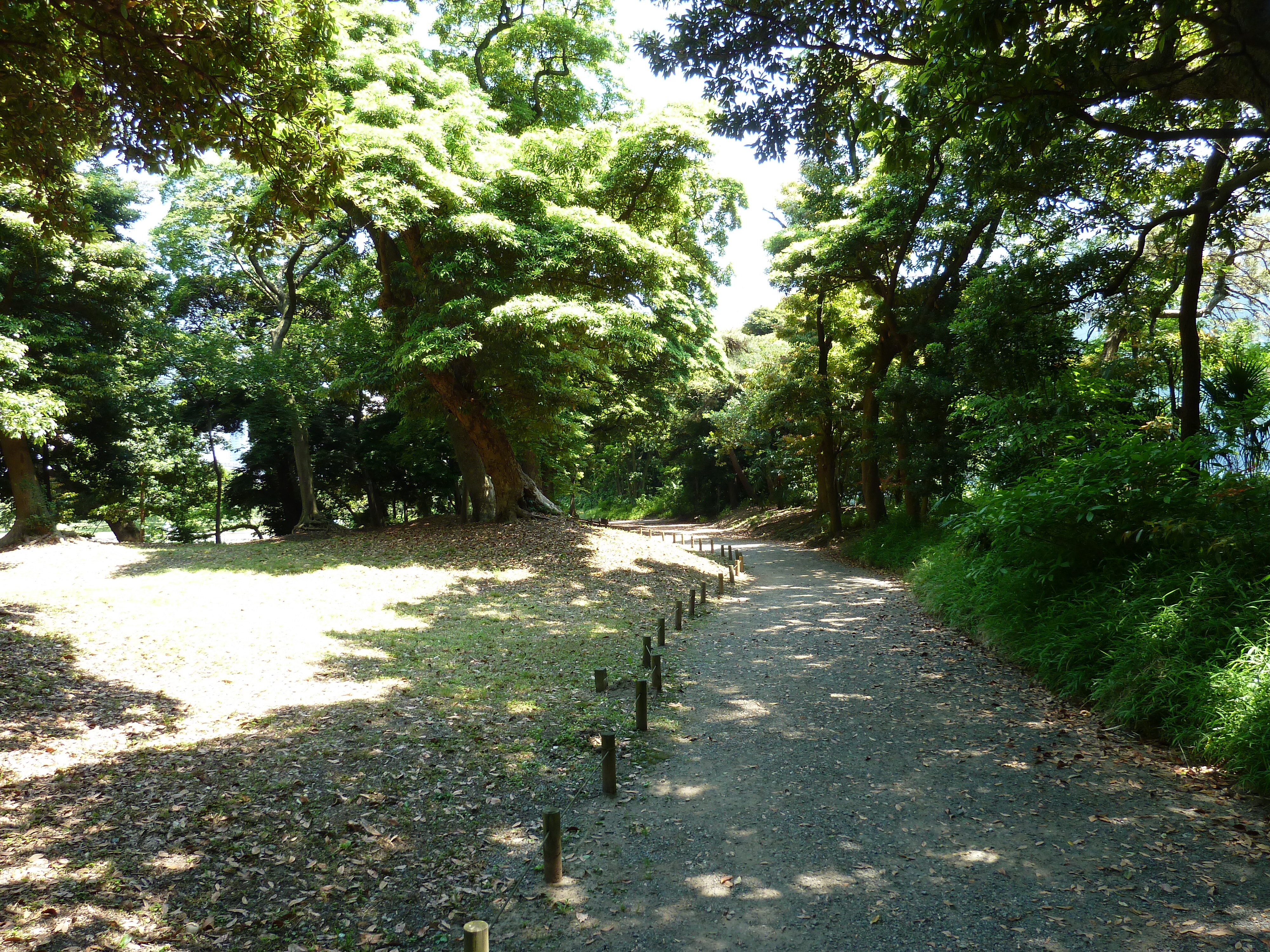 Picture Japan Tokyo Hama rikyu Gardens 2010-06 121 - Journey Hama rikyu Gardens