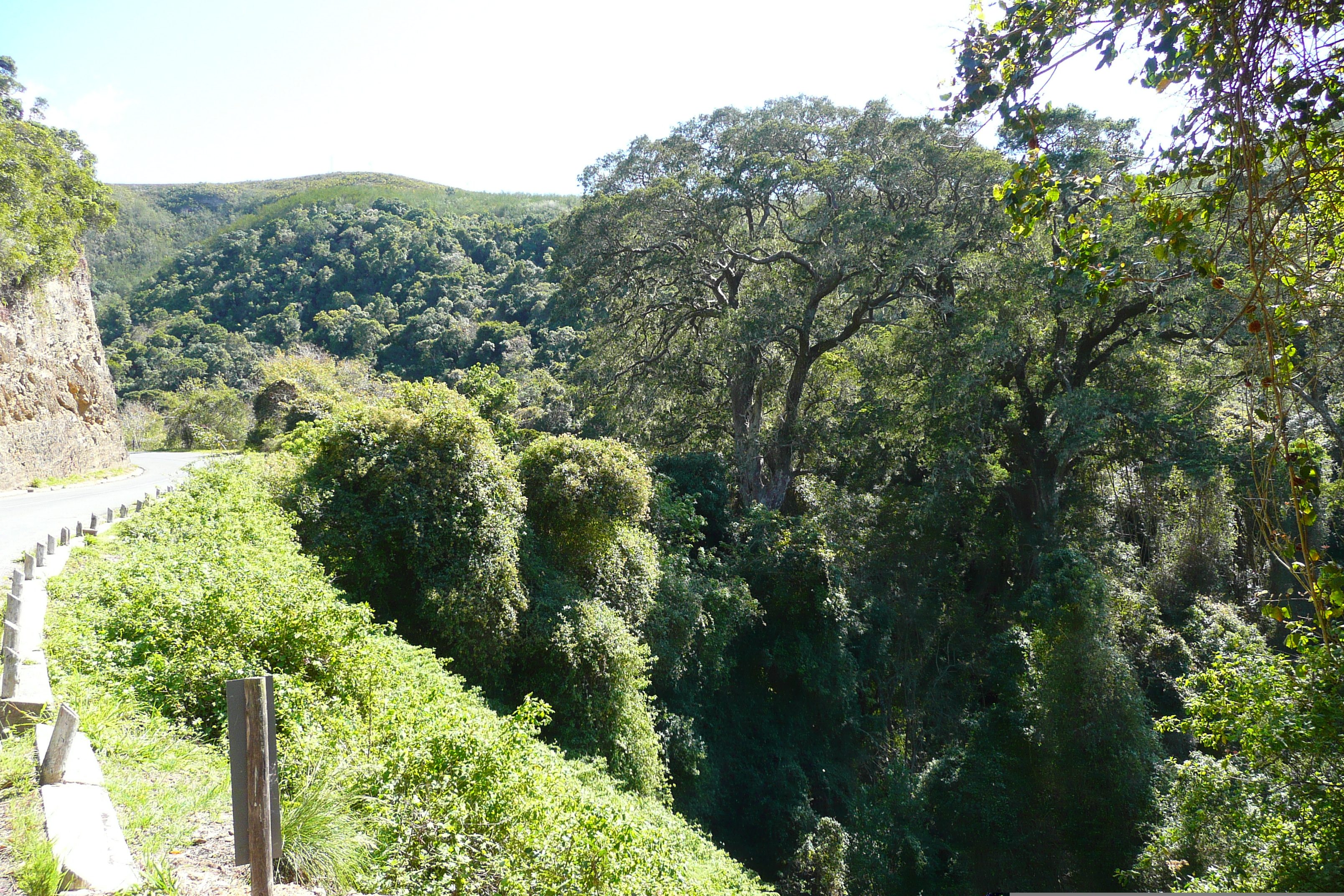 Picture South Africa Nature's Valley 2008-09 73 - Tours Nature's Valley