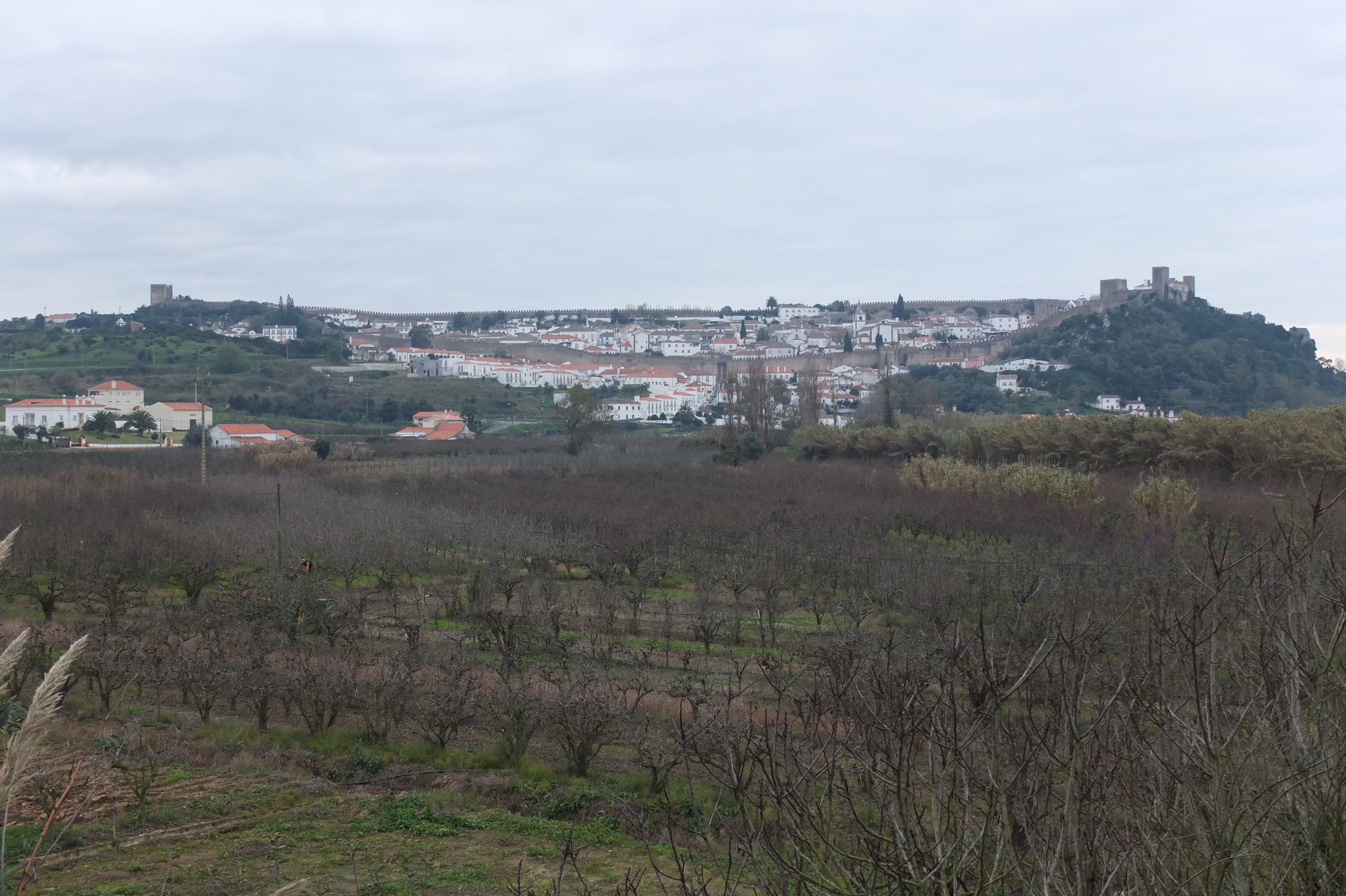 Picture Portugal Obidos 2013-01 56 - Center Obidos