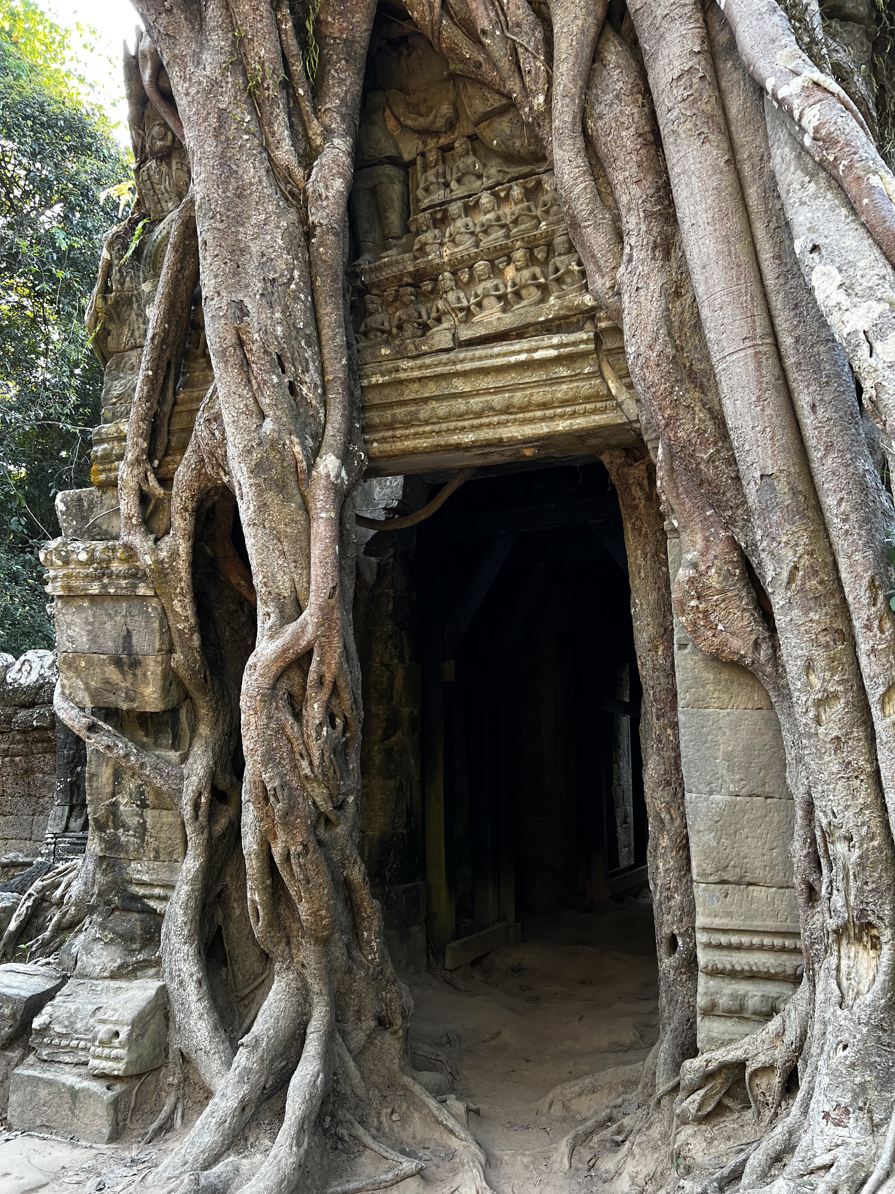 Picture Cambodia Siem Reap Ta Som 2023-01 31 - History Ta Som