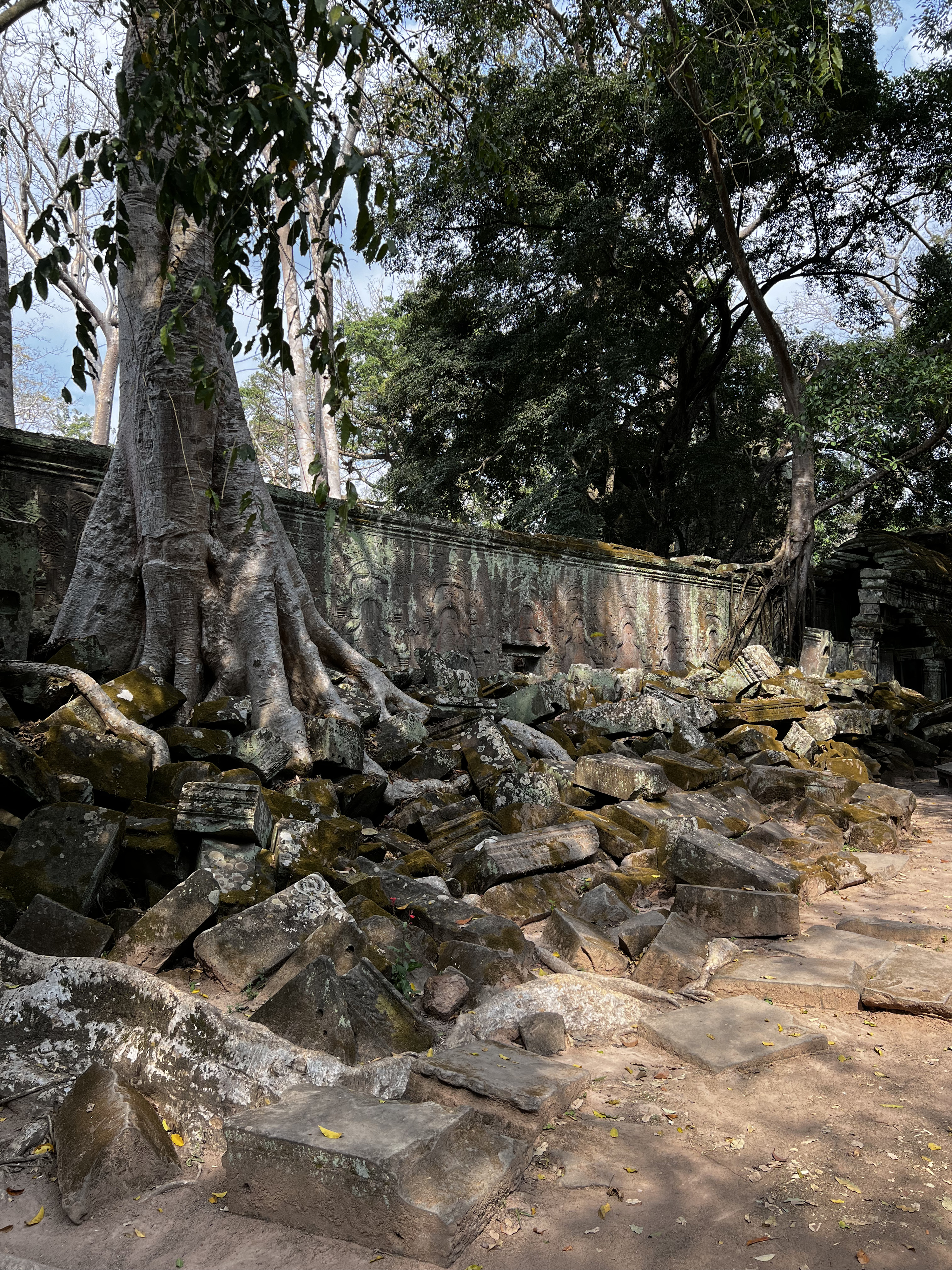 Picture Cambodia Siem Reap Ta Prohm 2023-01 1 - Center Ta Prohm