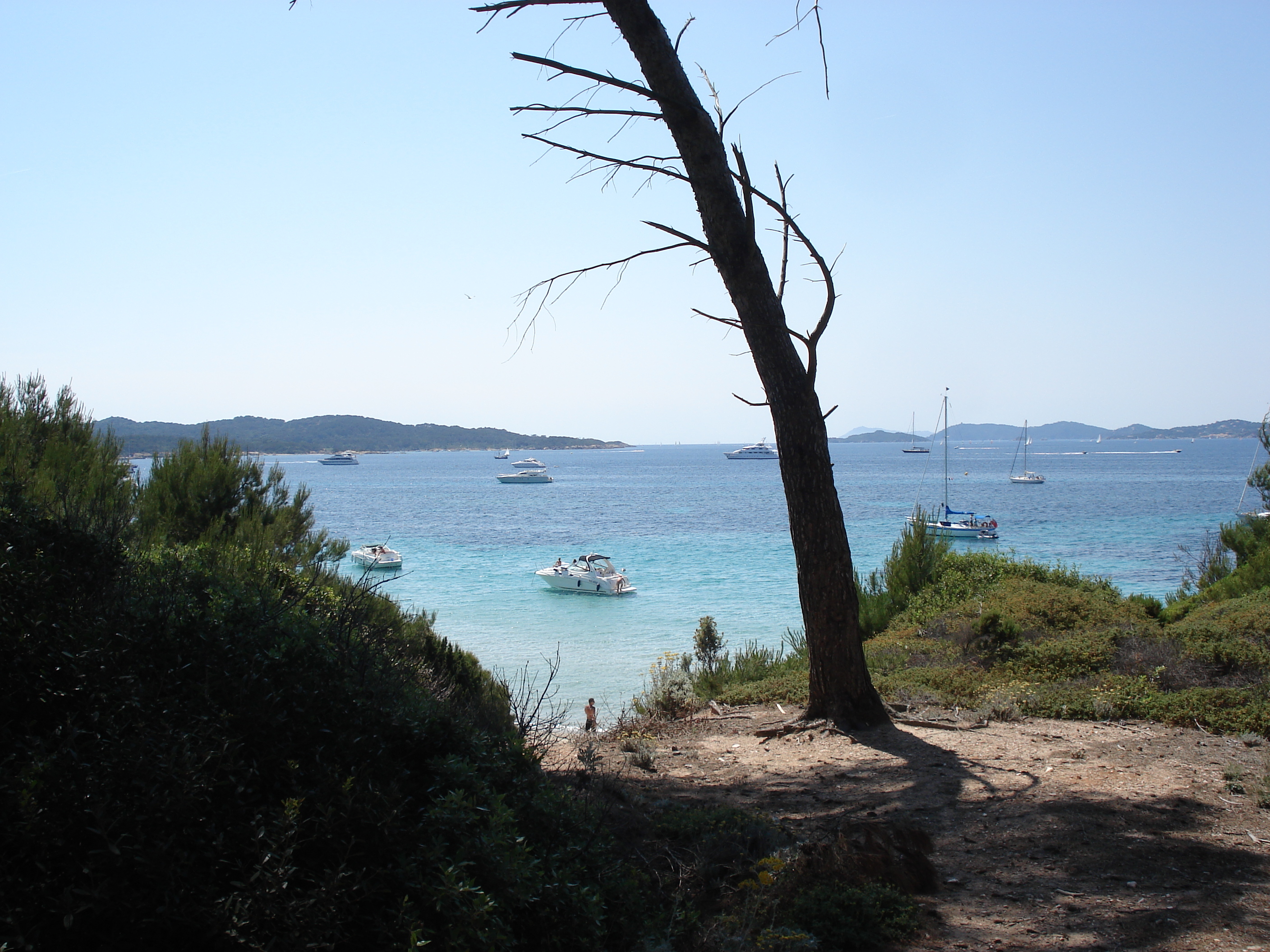 Picture France Porquerolles Island 2006-06 76 - Discovery Porquerolles Island