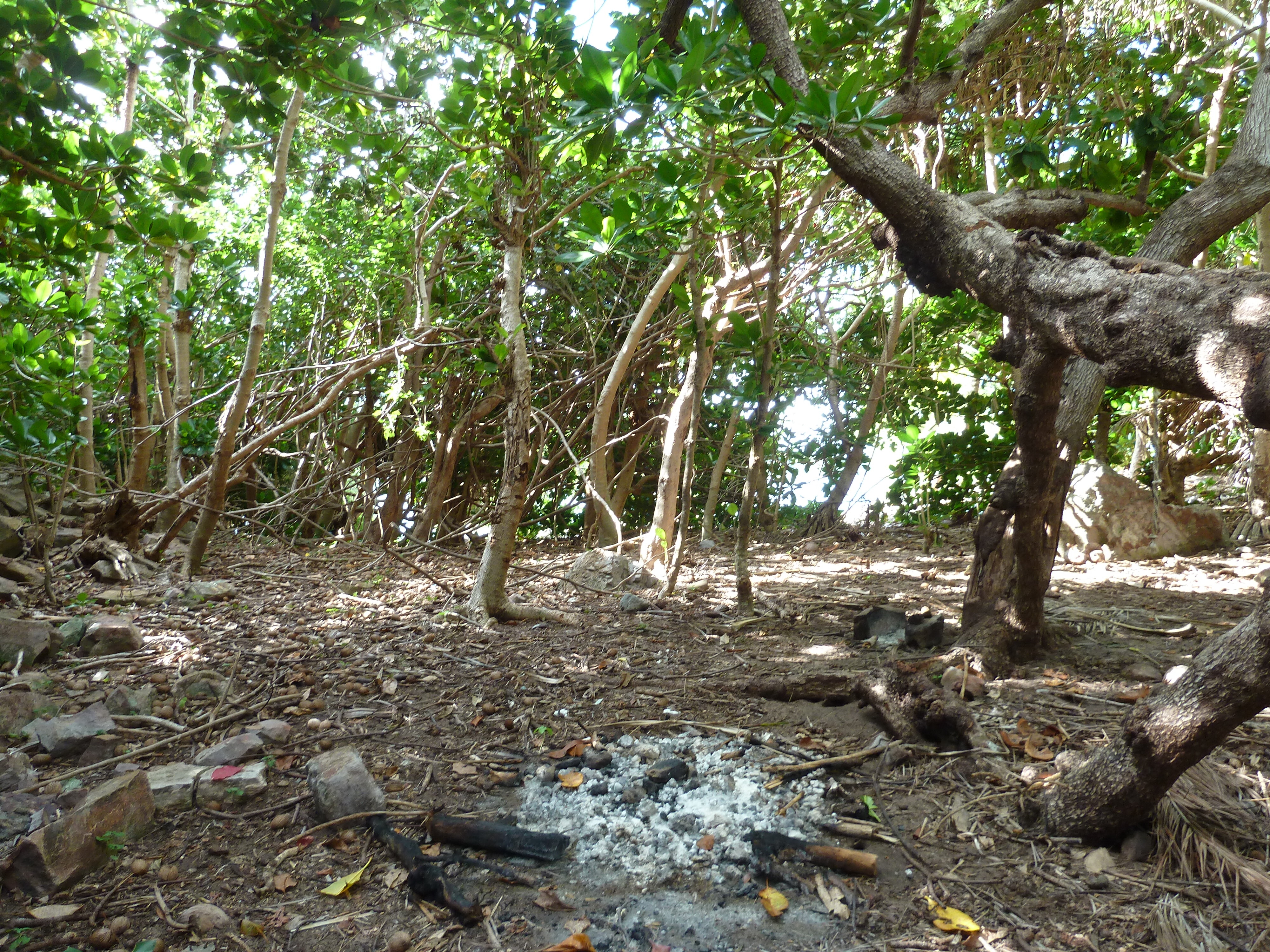 Picture Fiji Castaway Island 2010-05 73 - Center Castaway Island