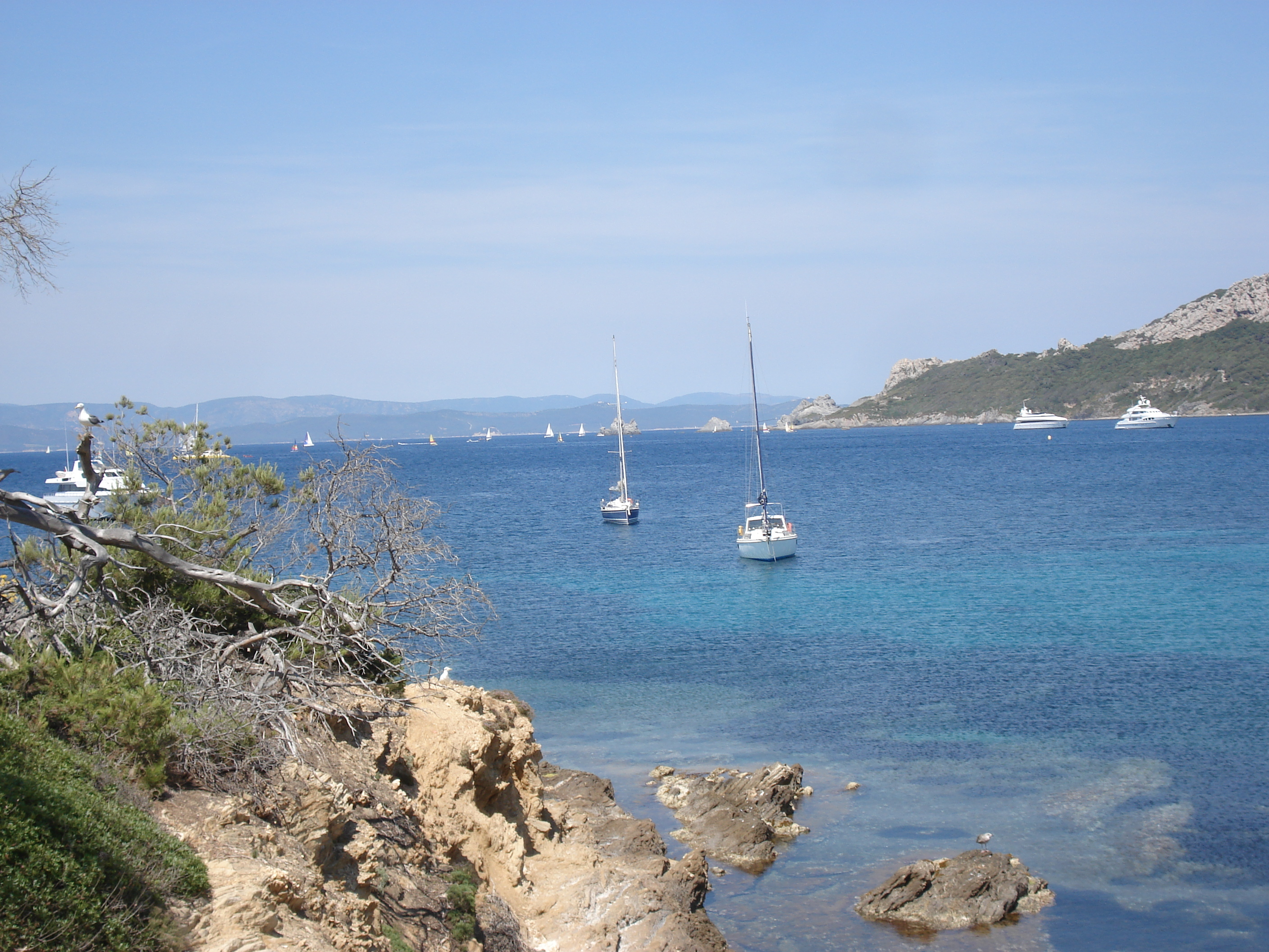 Picture France Porquerolles Island 2006-06 86 - Tour Porquerolles Island