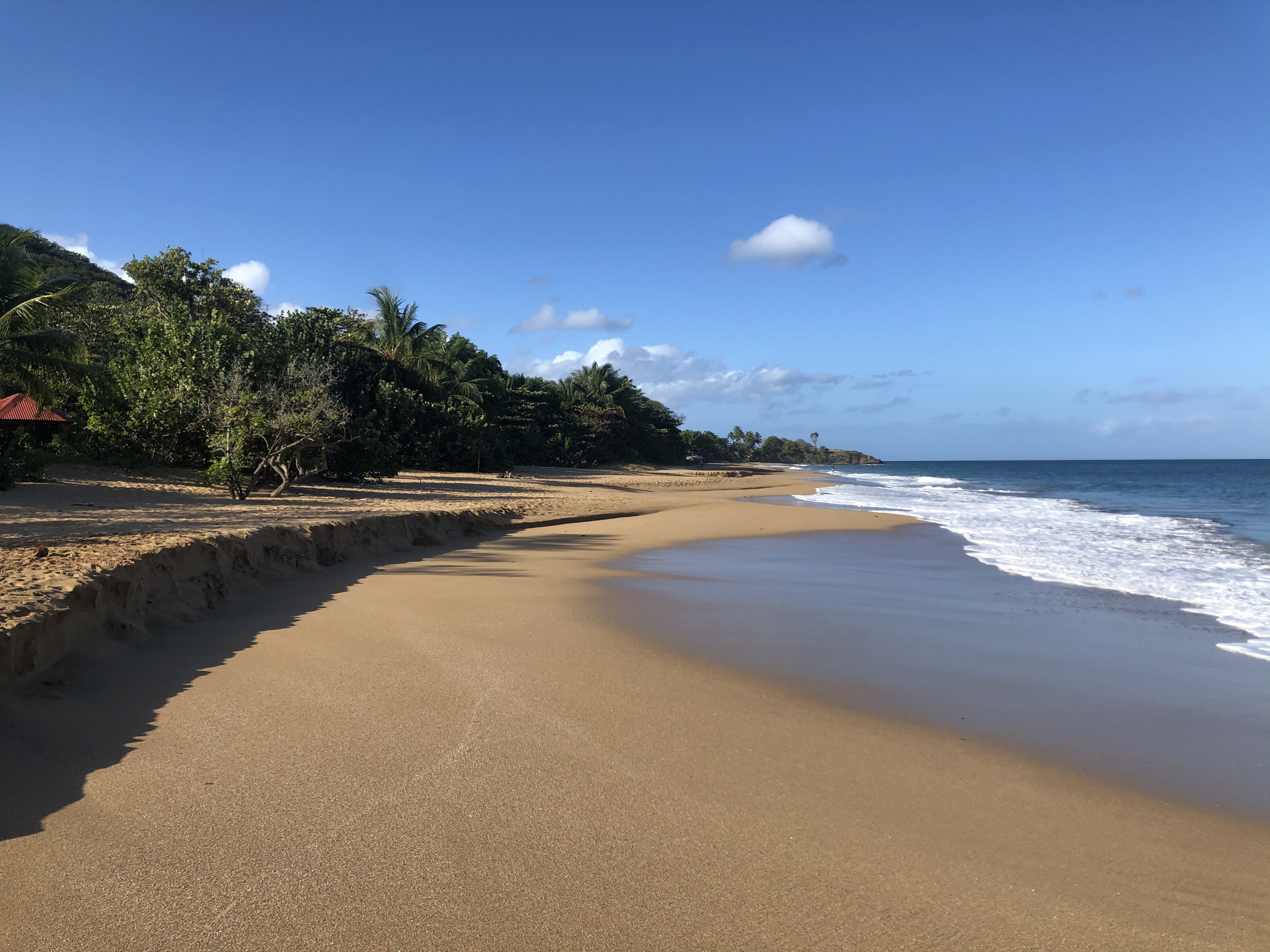 Picture Guadeloupe La Perle Beach 2021-02 19 - Tour La Perle Beach