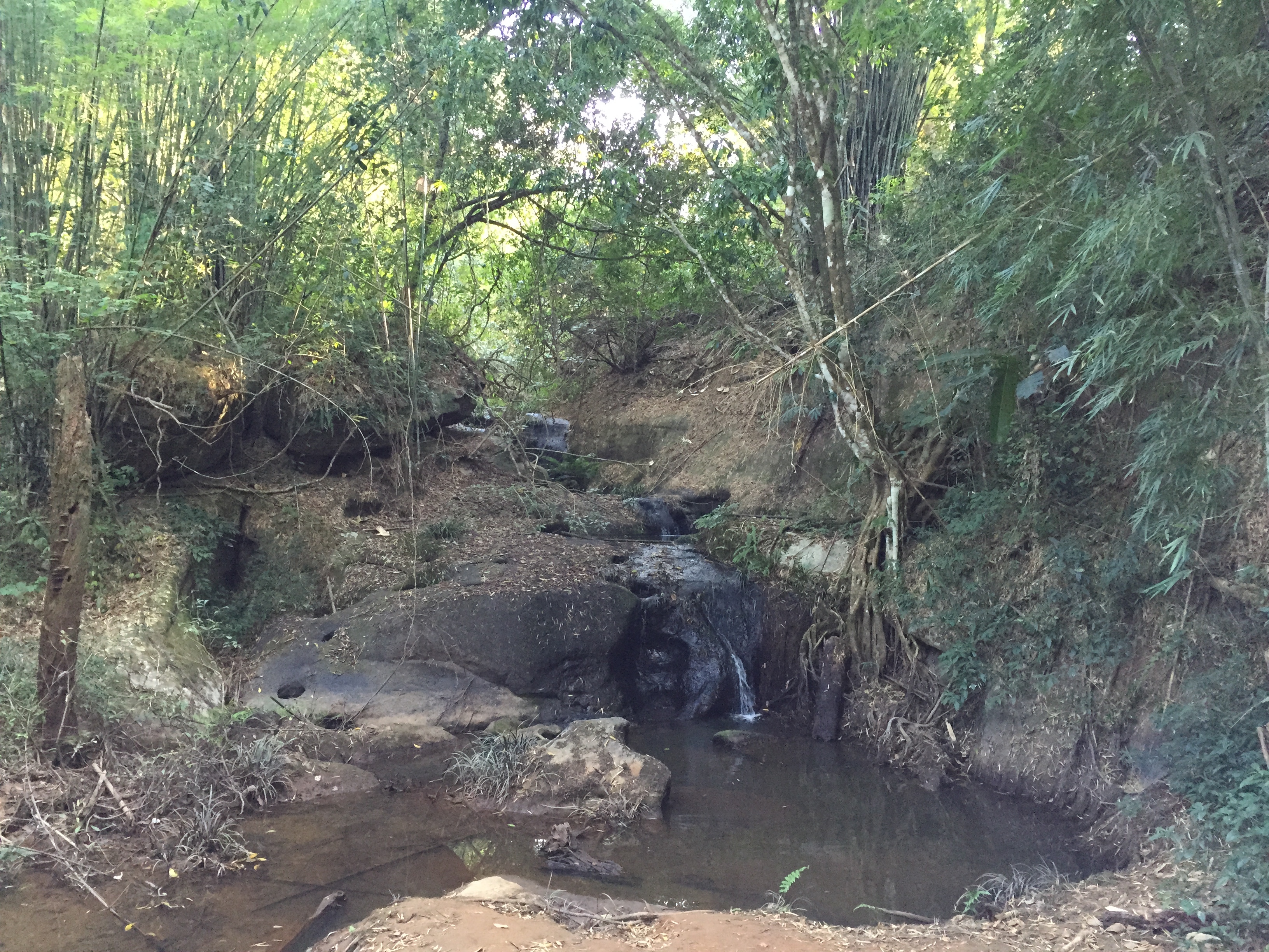 Picture Thailand Phu Hin Rong Kla National Park 2014-12 225 - Tours Phu Hin Rong Kla National Park