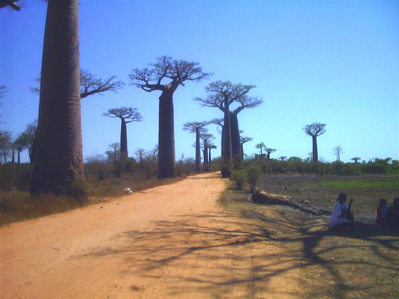 Picture Madagascar Morondava 1999-10 10 - Recreation Morondava