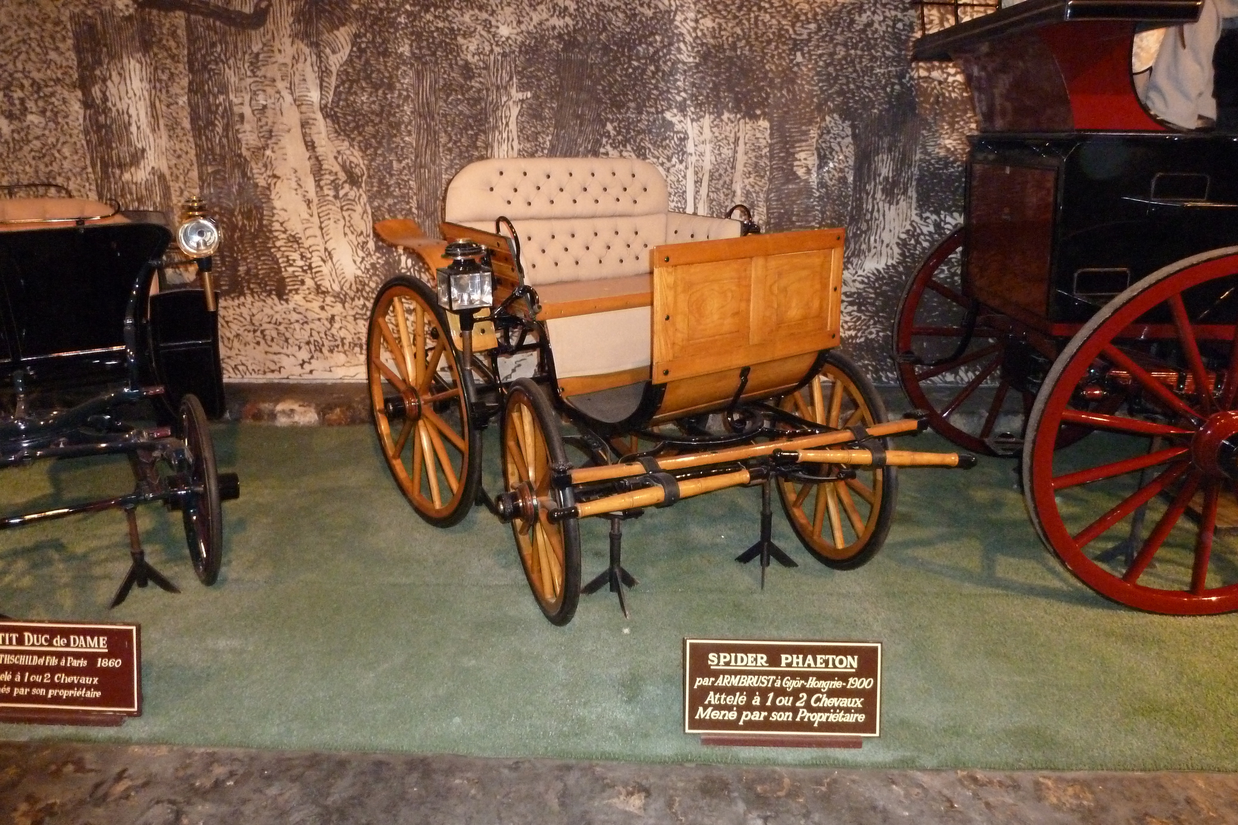 Picture France Vaux Le Vicomte Castle Horse driven carriages museum 2010-09 15 - Tour Horse driven carriages museum