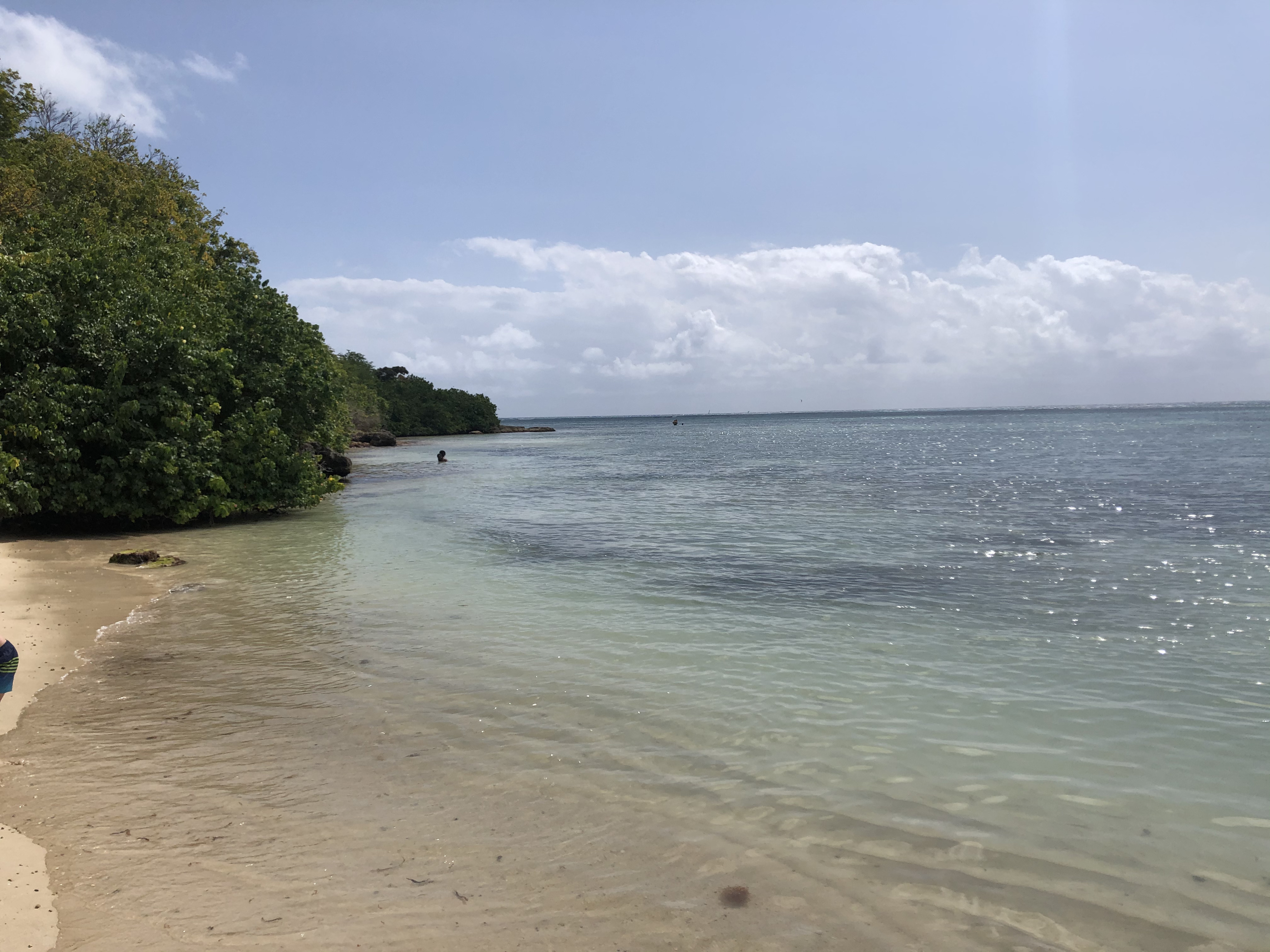 Picture Guadeloupe Saint Francois 2021-02 58 - Around Saint Francois