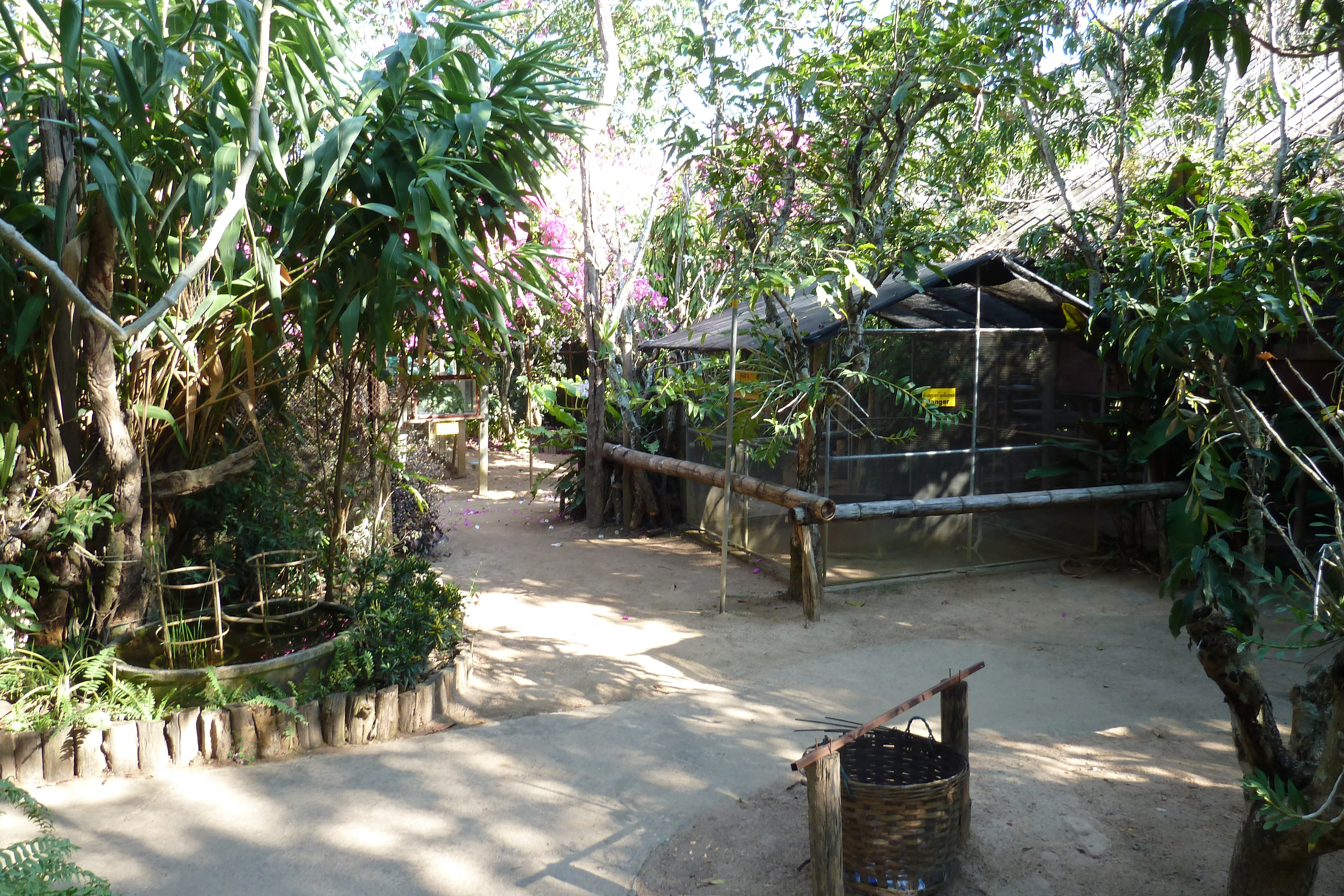 Picture Thailand Chiang Mai Mae Sa Snake Farm 2010-12 7 - History Mae Sa Snake Farm