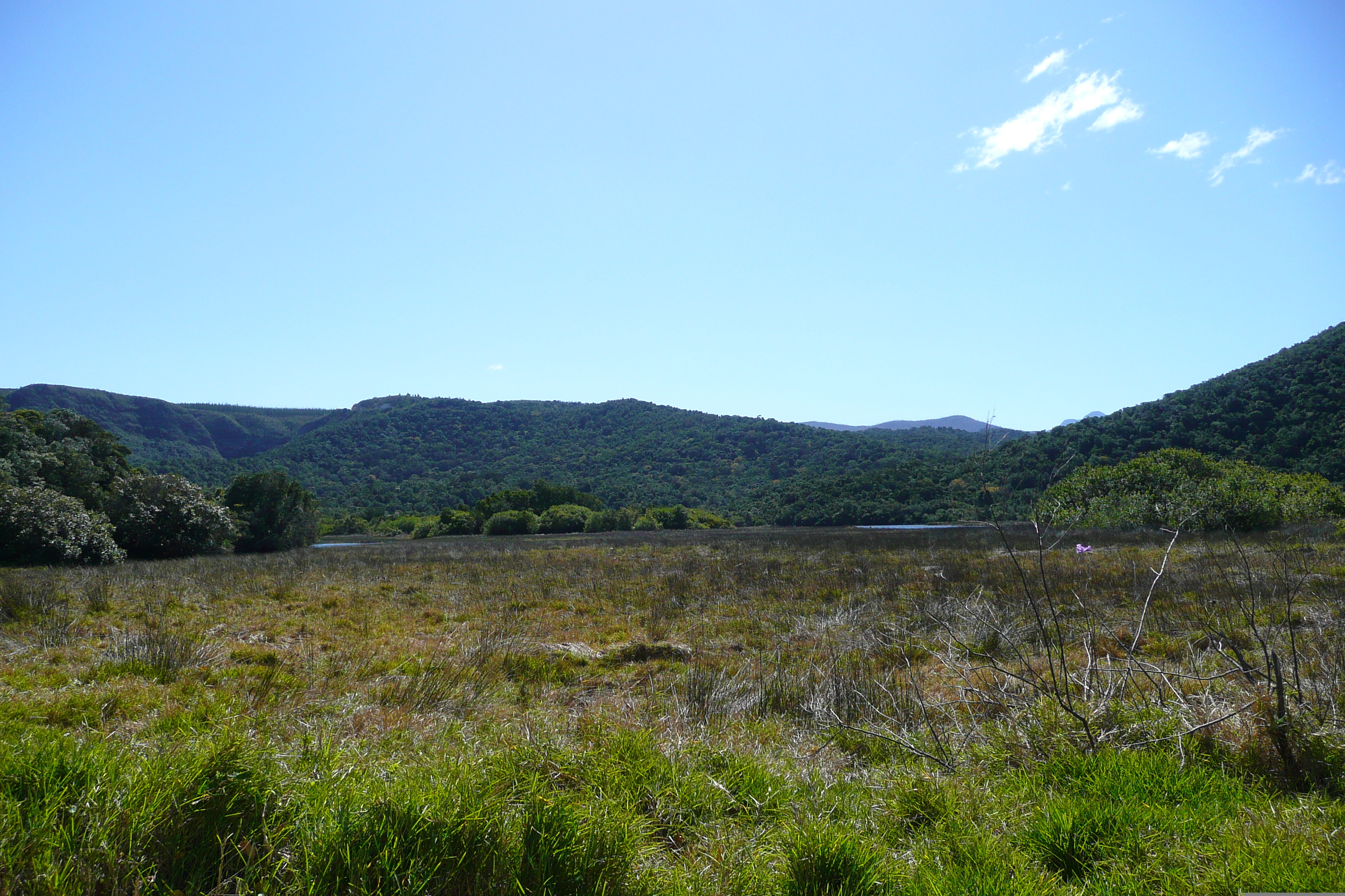 Picture South Africa Nature's Valley 2008-09 4 - Center Nature's Valley