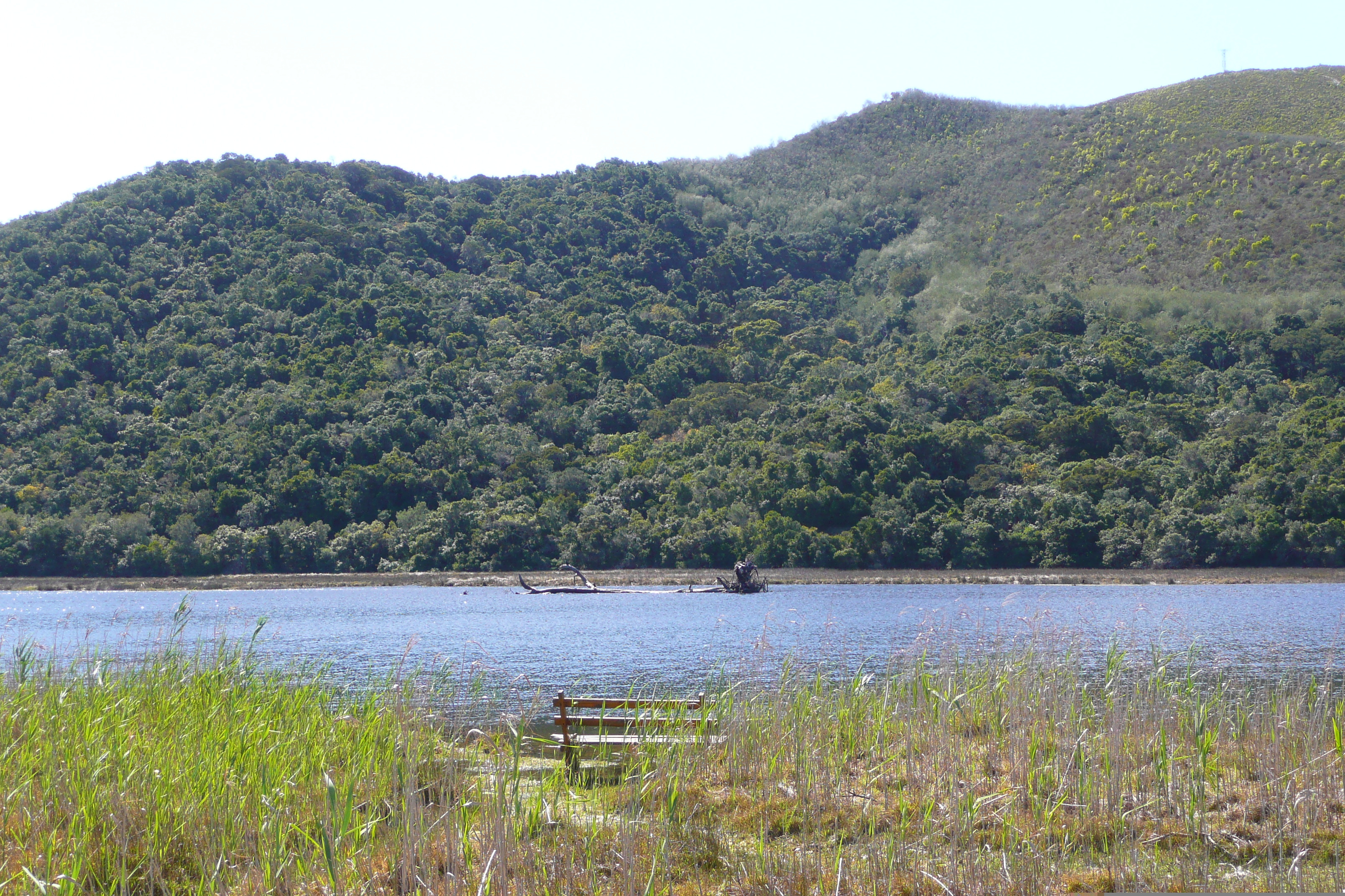 Picture South Africa Nature's Valley 2008-09 76 - Tours Nature's Valley