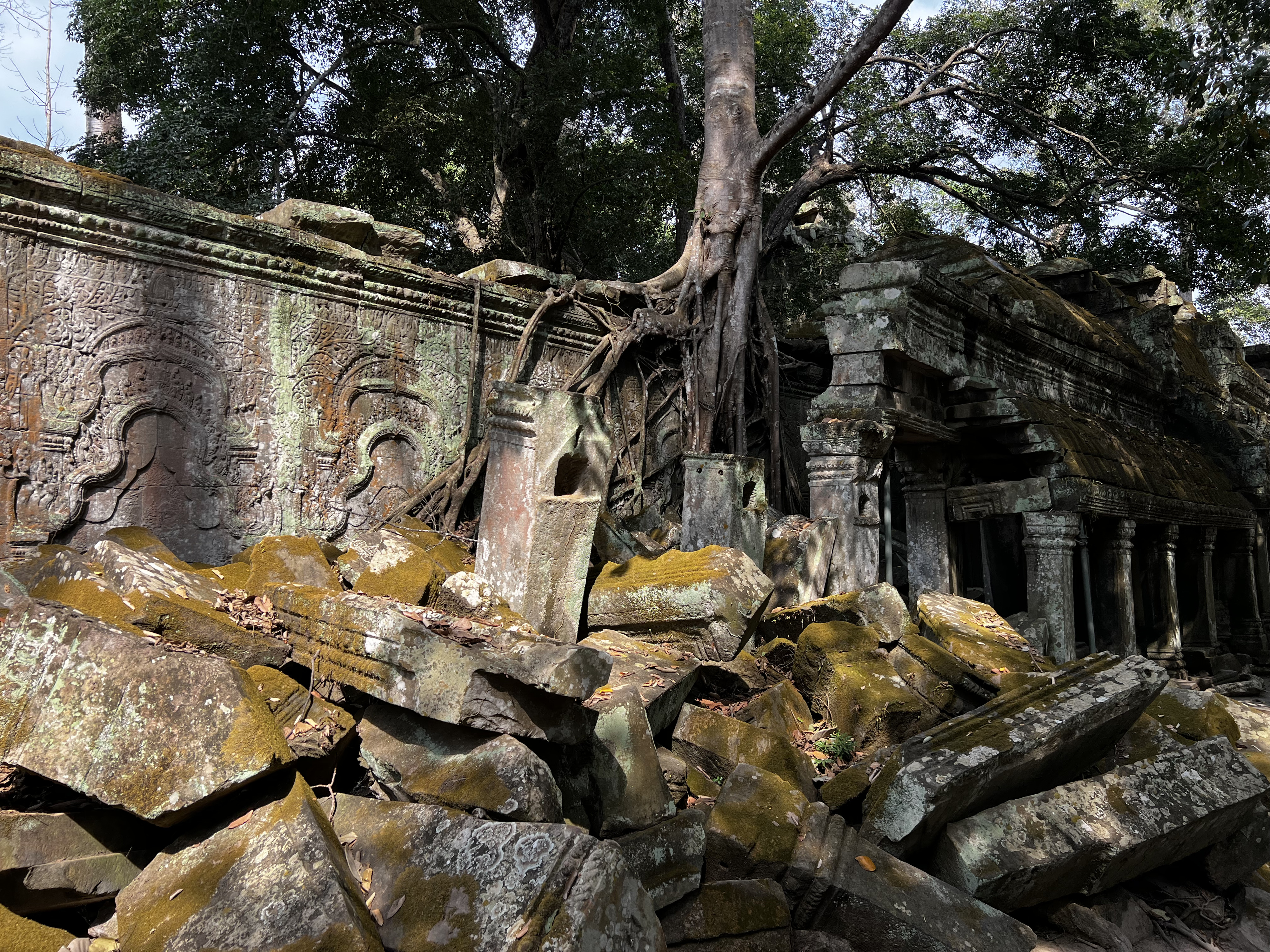 Picture Cambodia Siem Reap Ta Prohm 2023-01 137 - Discovery Ta Prohm