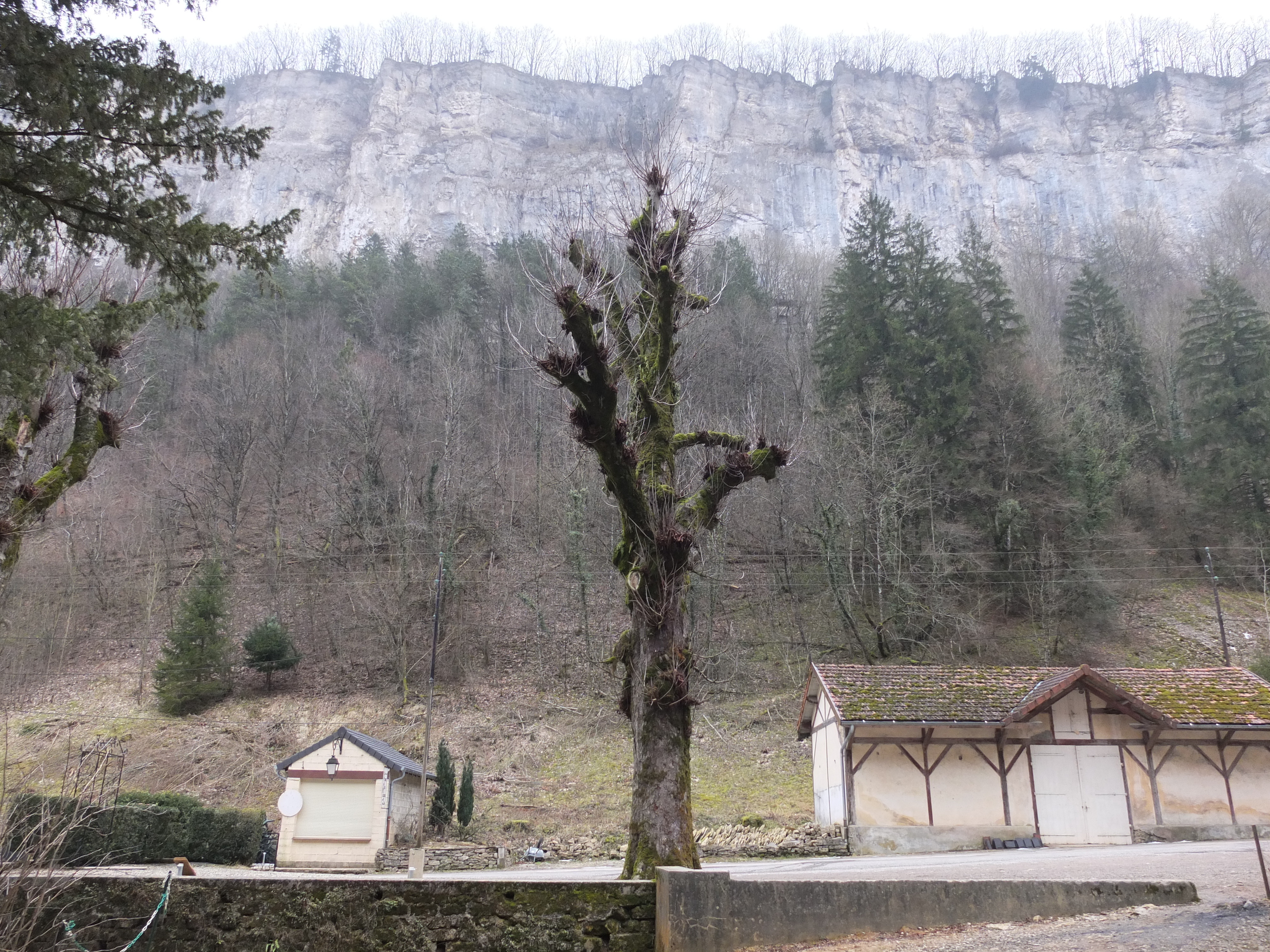 Picture France Baume les Messieurs 2012-02 87 - Discovery Baume les Messieurs