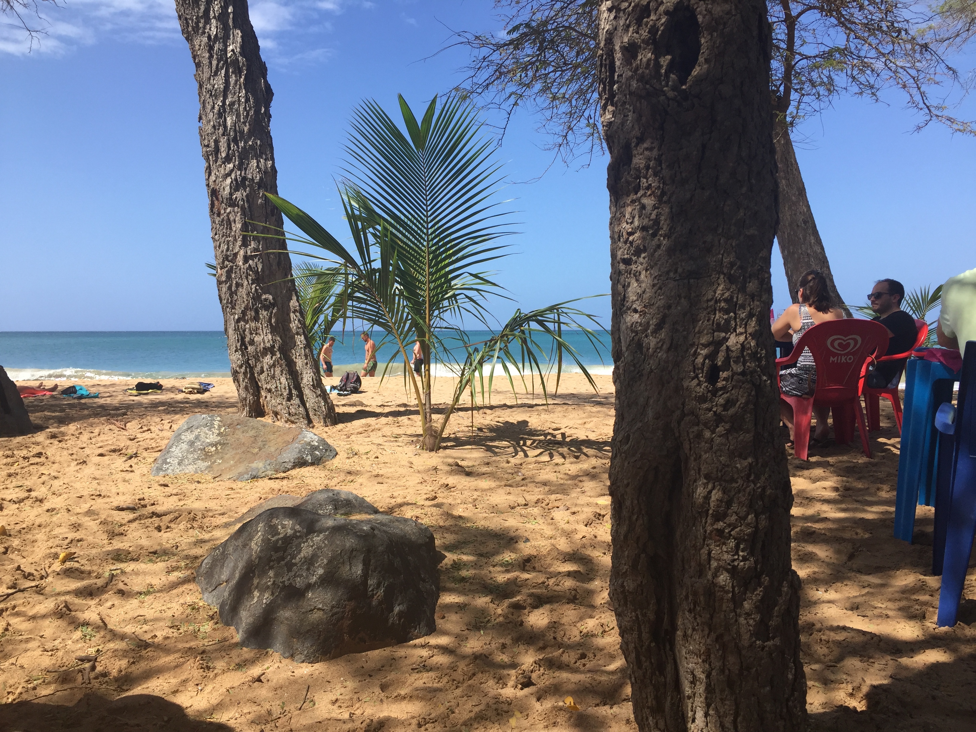 Picture Guadeloupe La Perle Beach 2021-02 120 - Center La Perle Beach