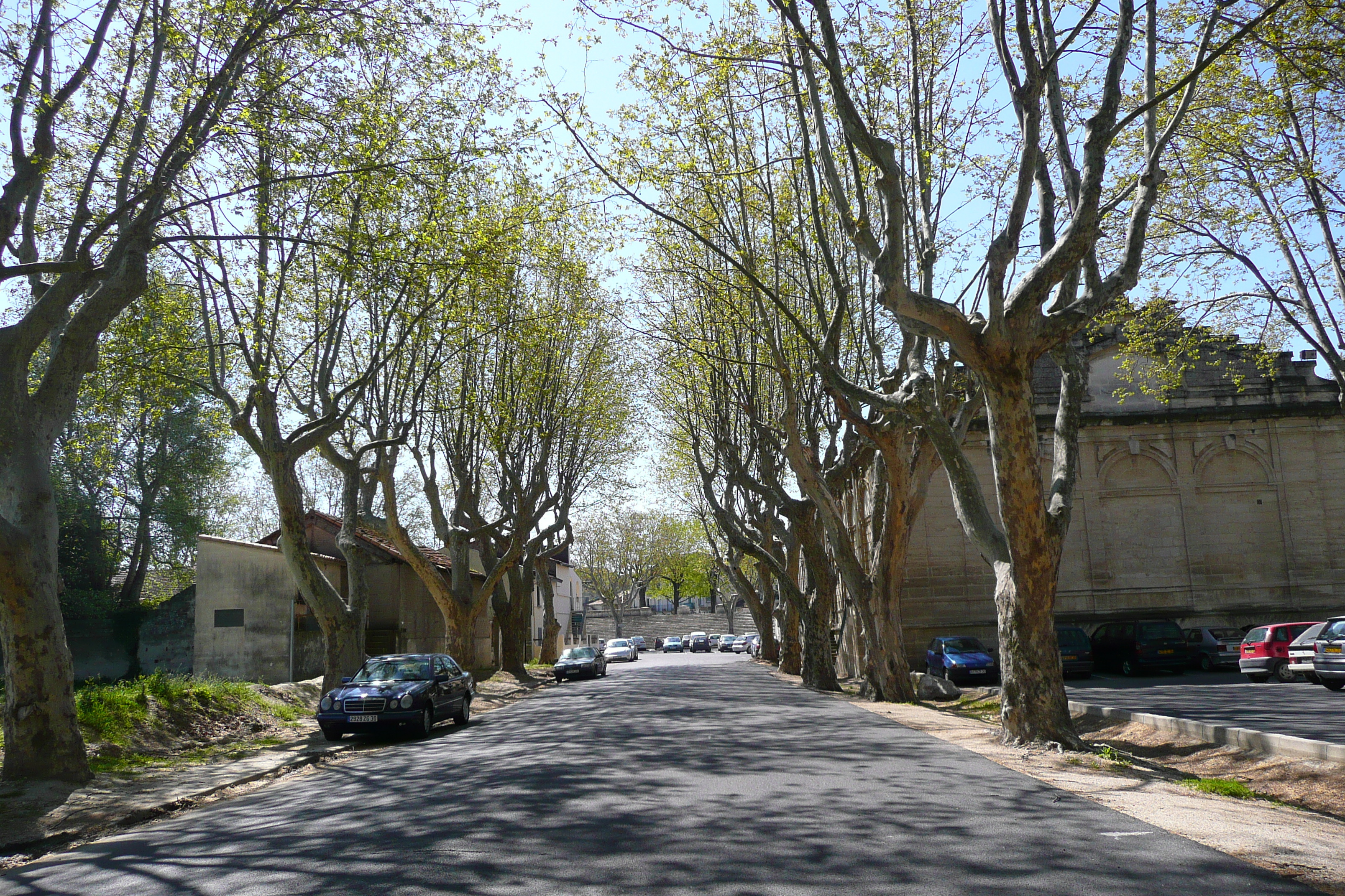 Picture France Beaucaire 2008-04 30 - History Beaucaire