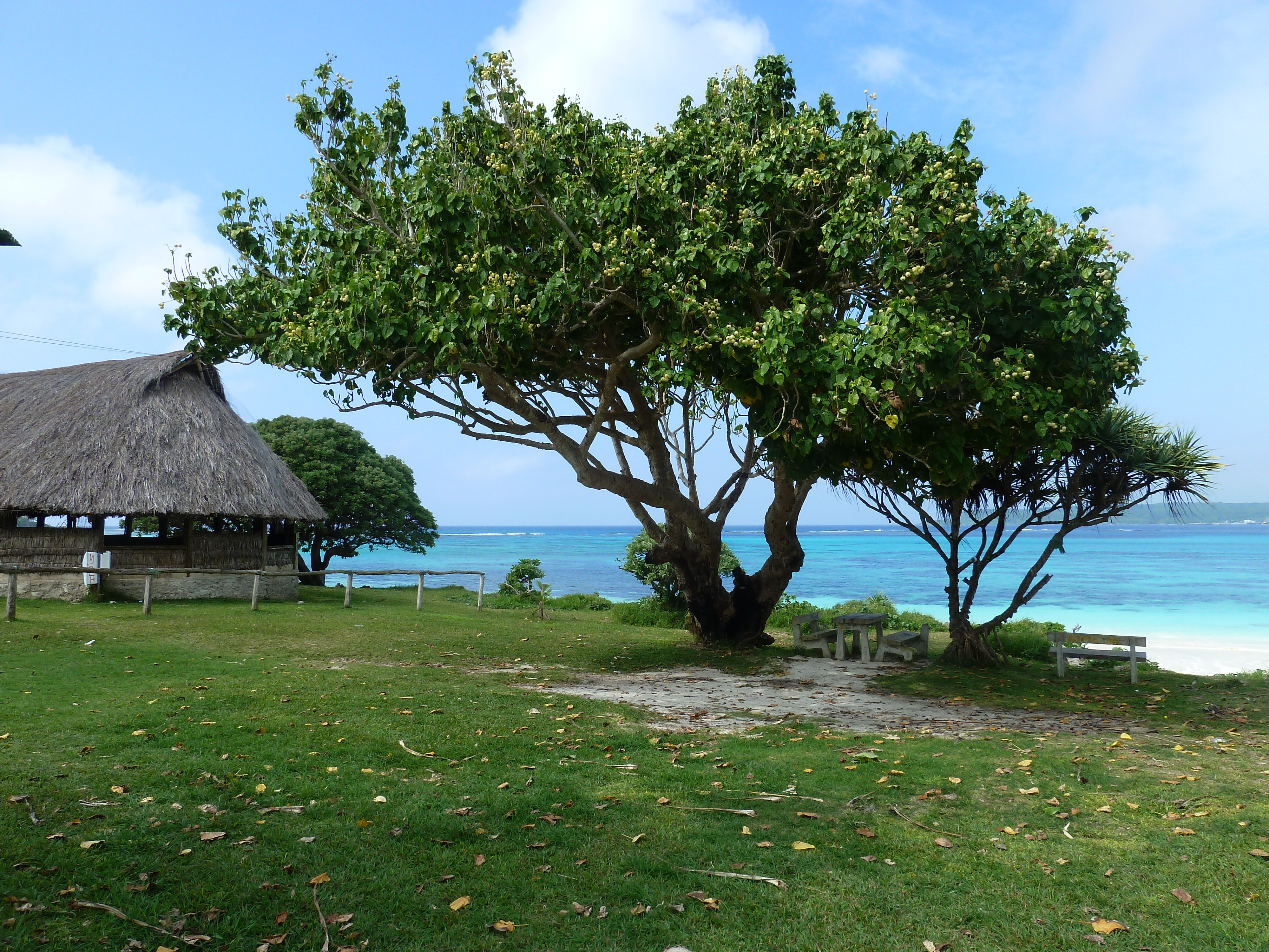 Picture New Caledonia 2010-05 88 - Around New Caledonia