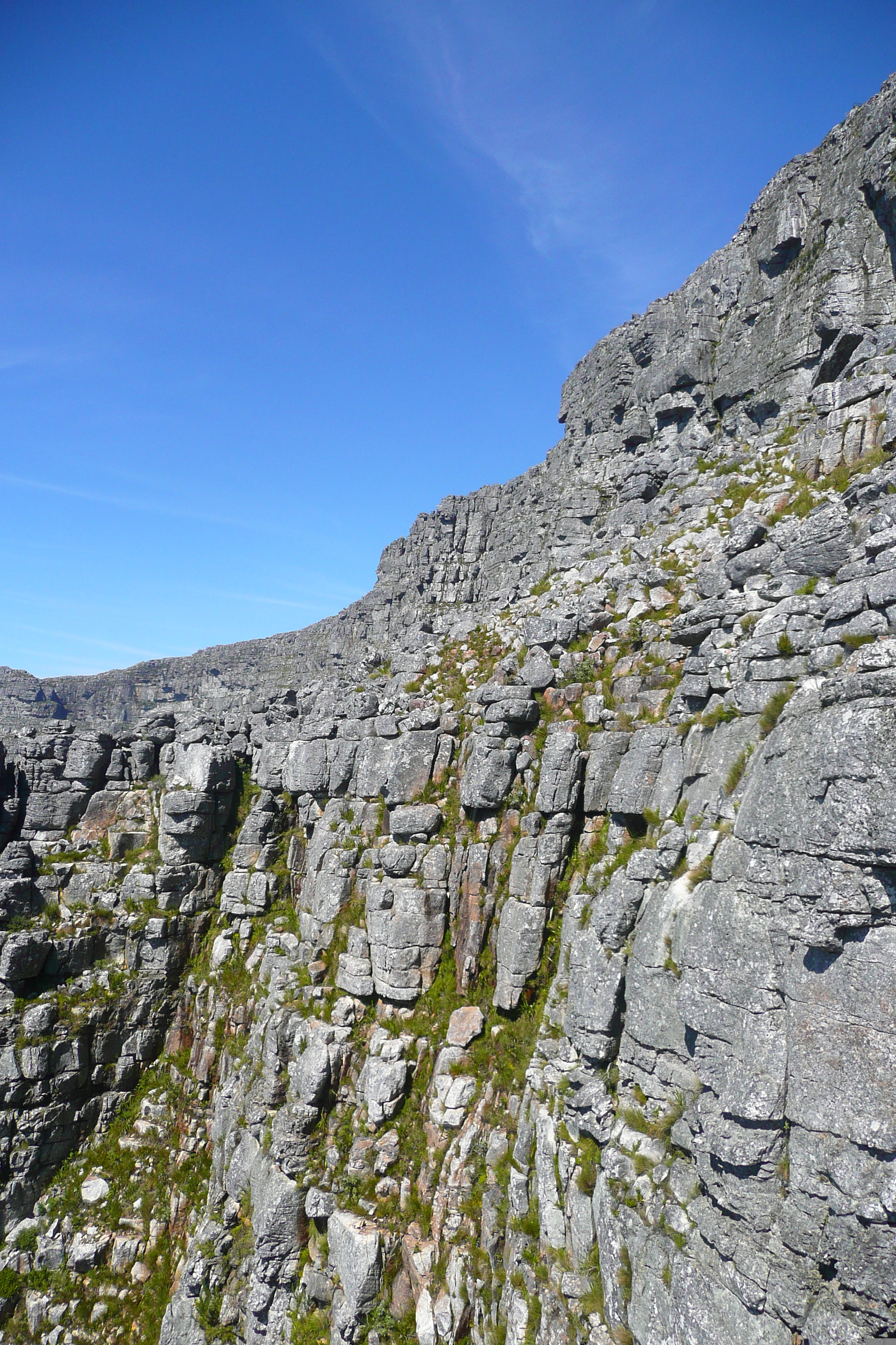 Picture South Africa Cape Town Table Mountain 2008-09 32 - Discovery Table Mountain