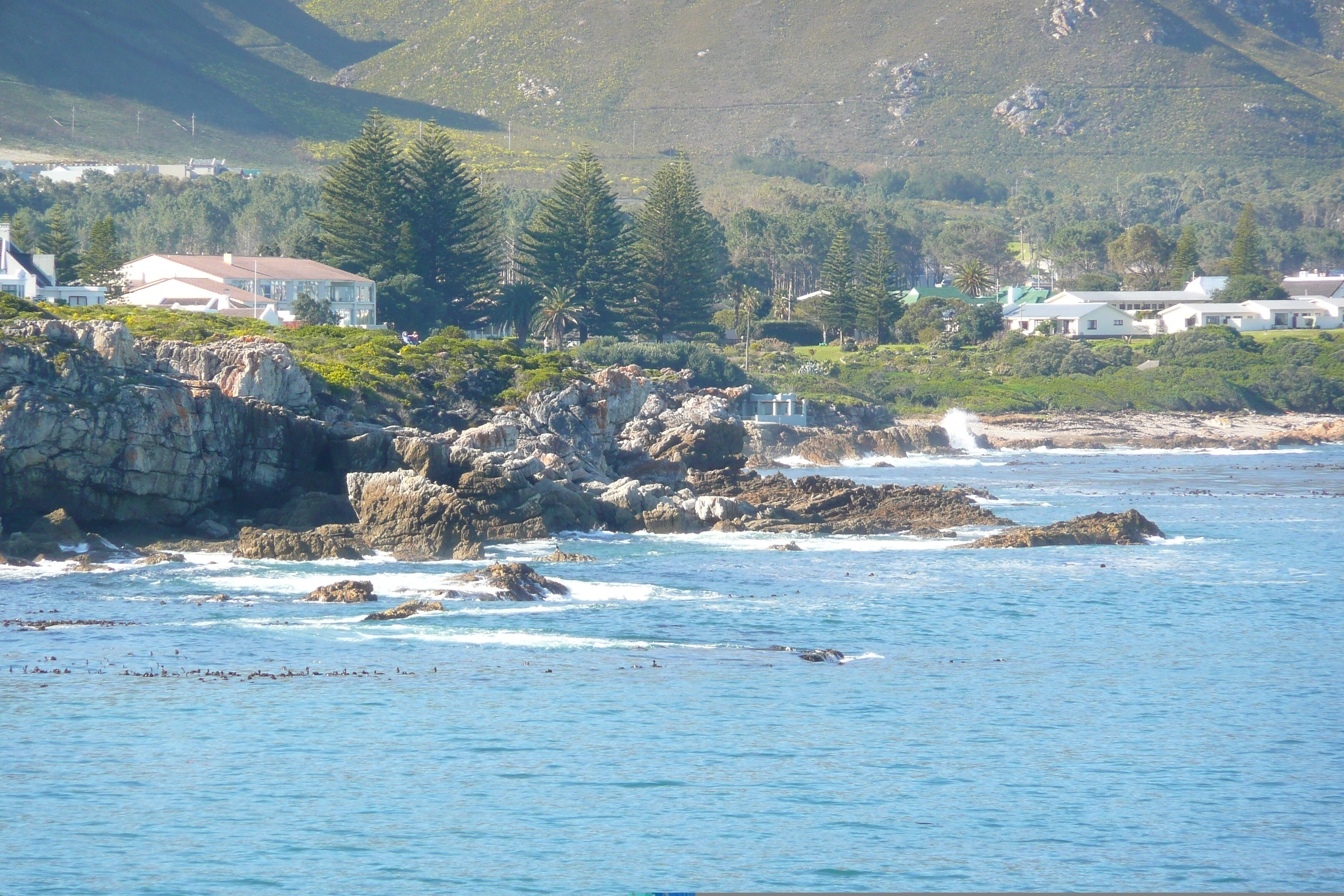 Picture South Africa Harmanus 2008-09 21 - Journey Harmanus